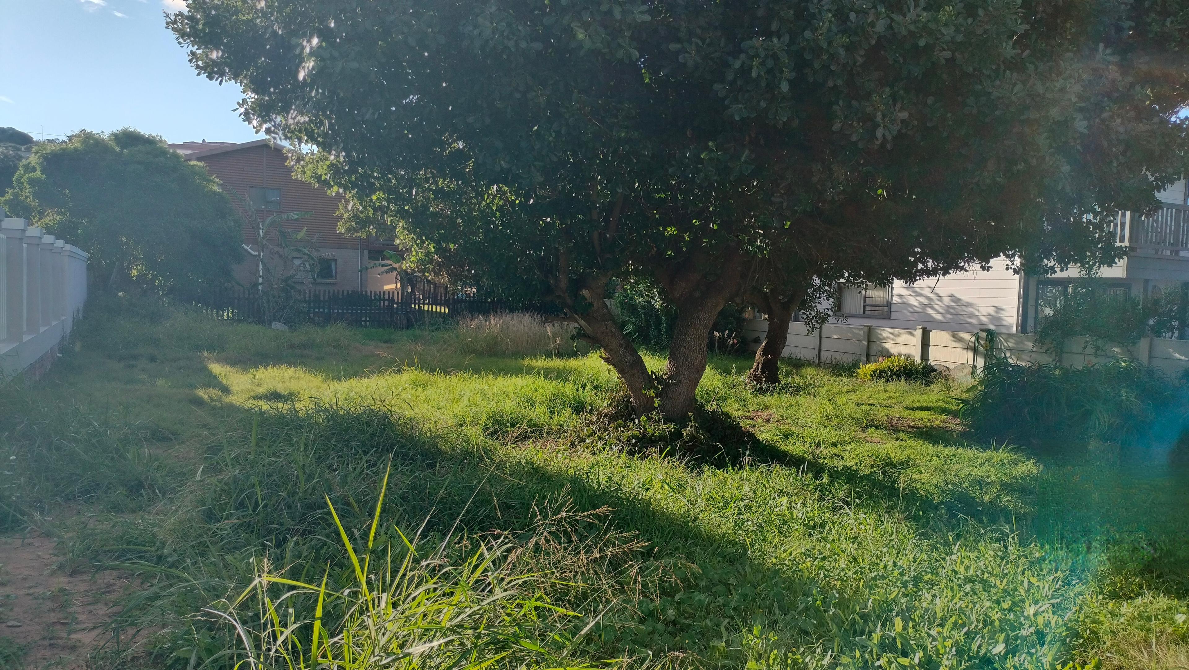 Image 3 of 6