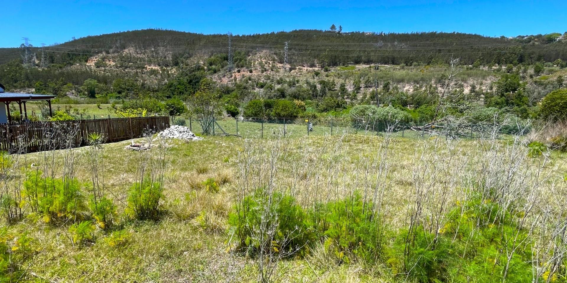Image 2 of 6