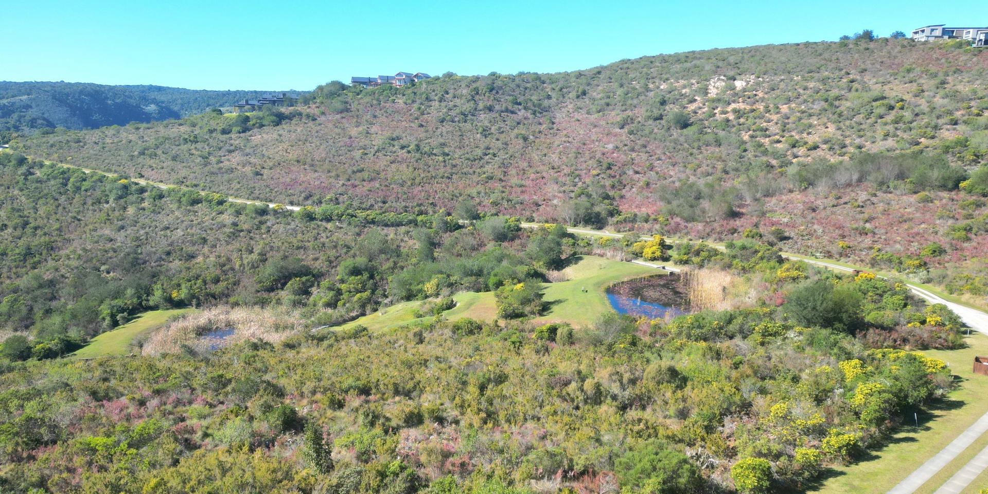 Image 5 of 6