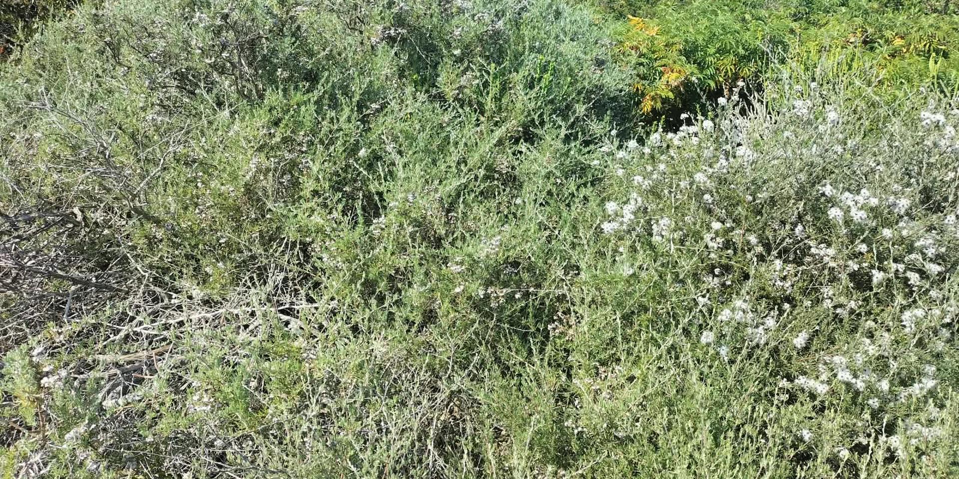 Image 4 of 6