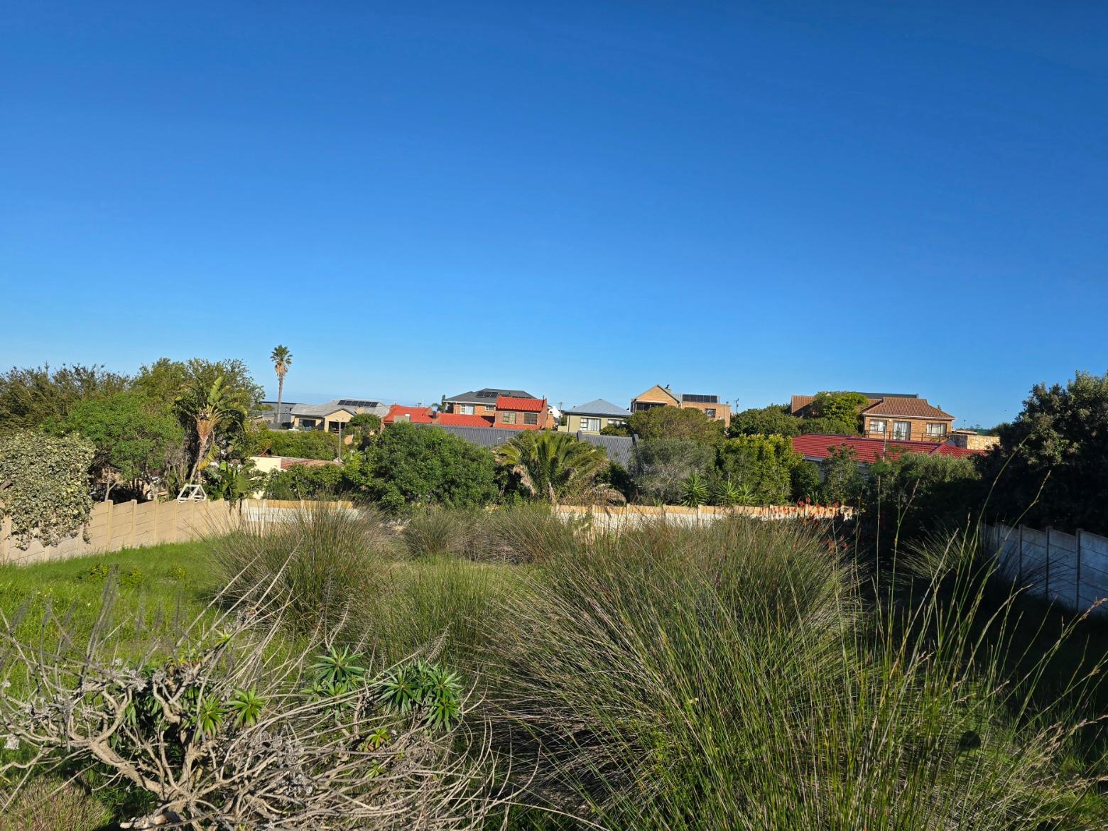 Image 5 of 6