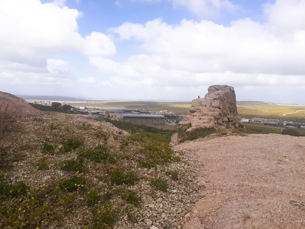 Image 12