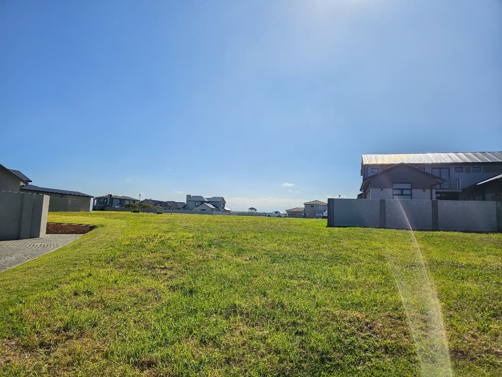 Image 15