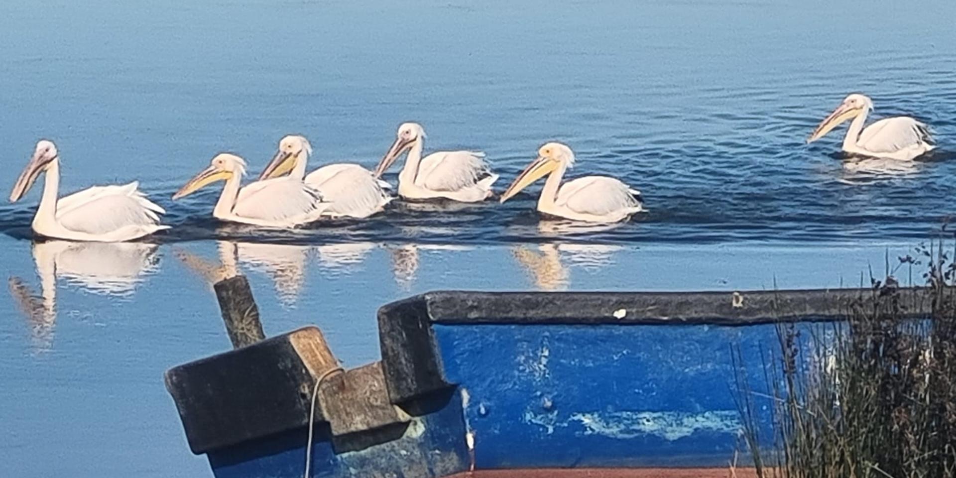Image 2 of 6