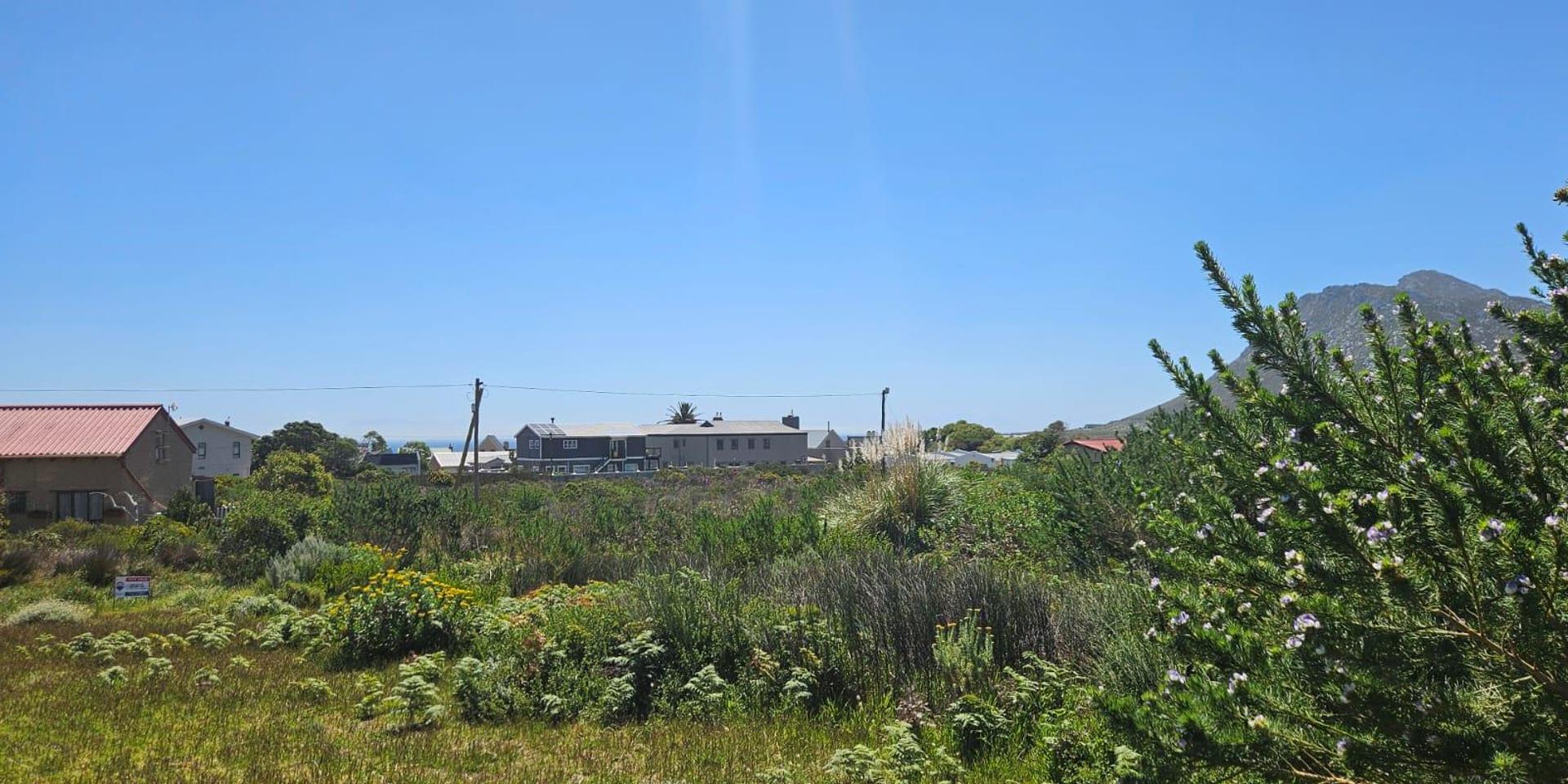 Image 3 of 6