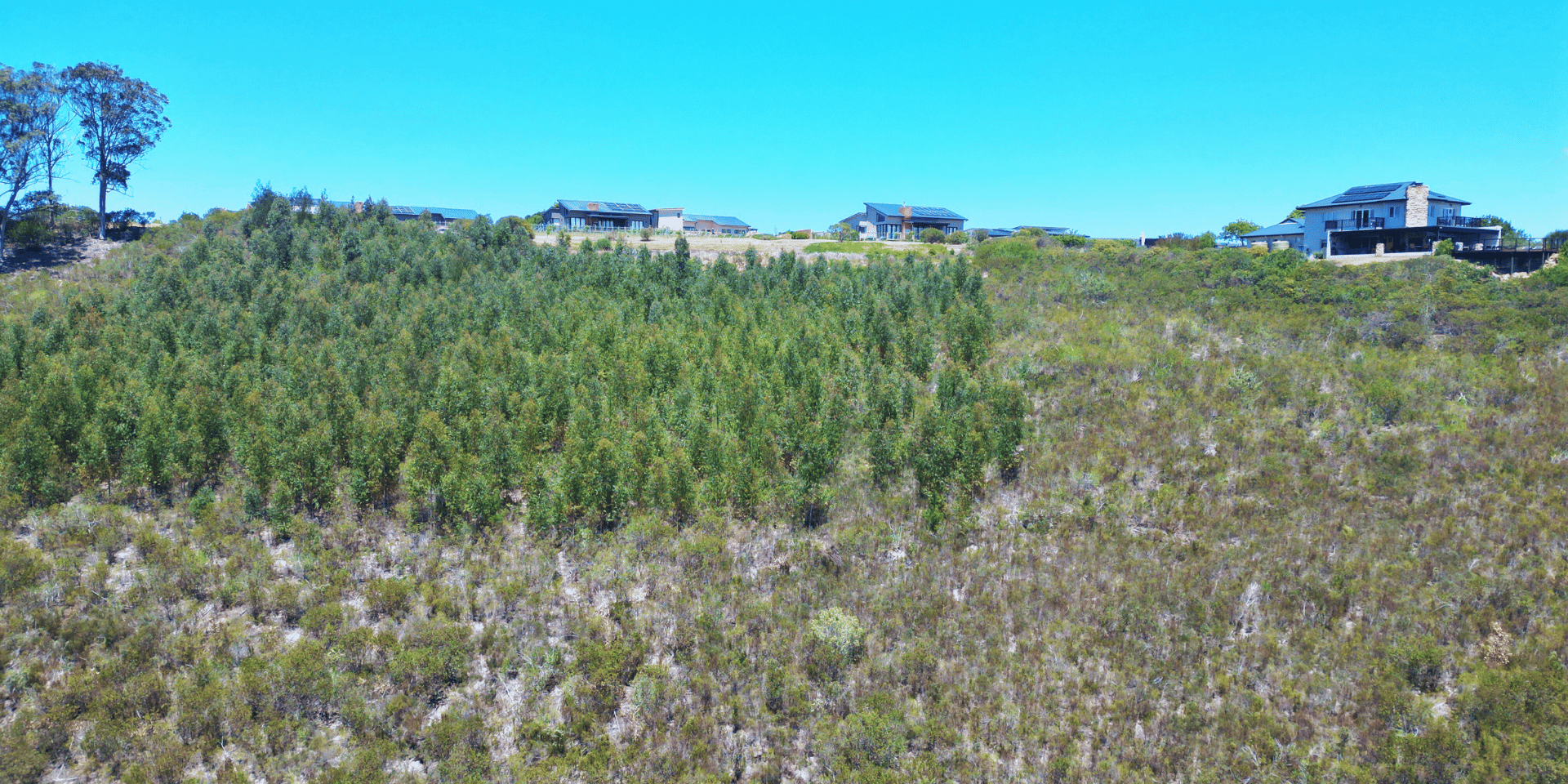 Image 5 of 6