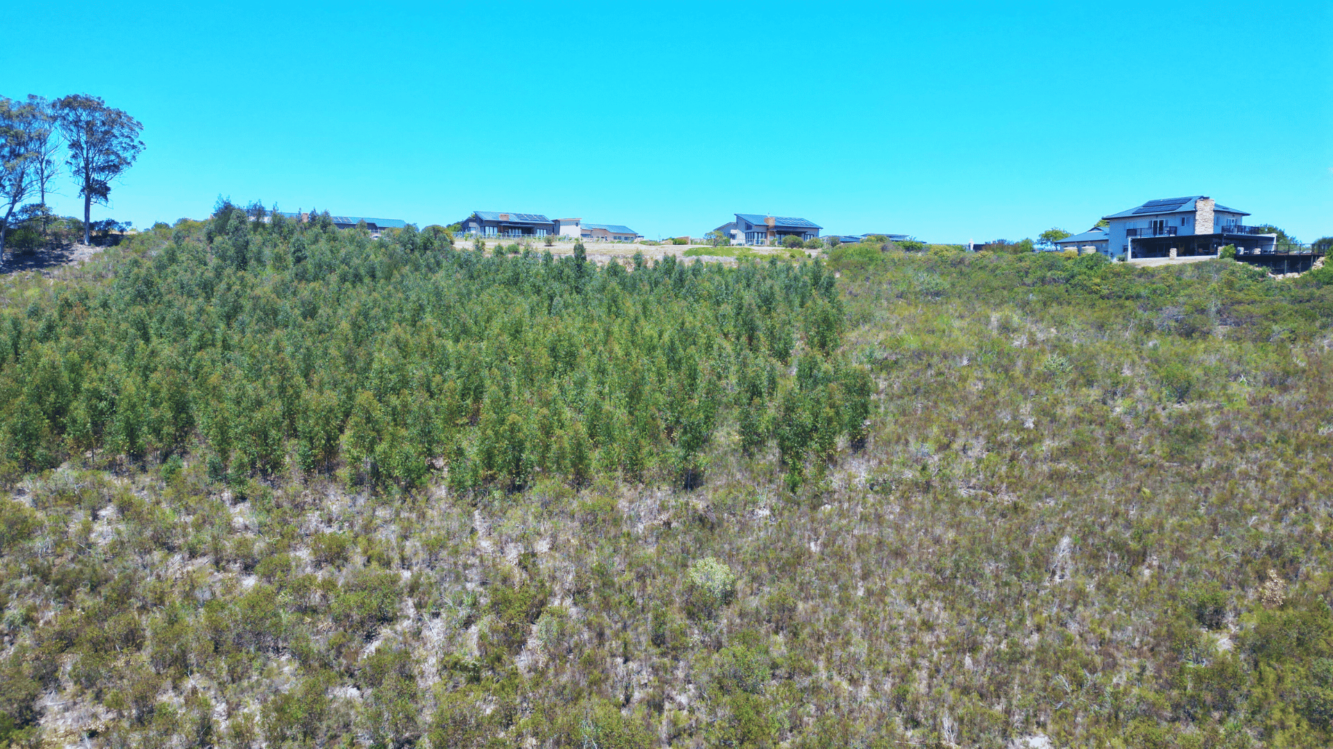 Image 5 of 6