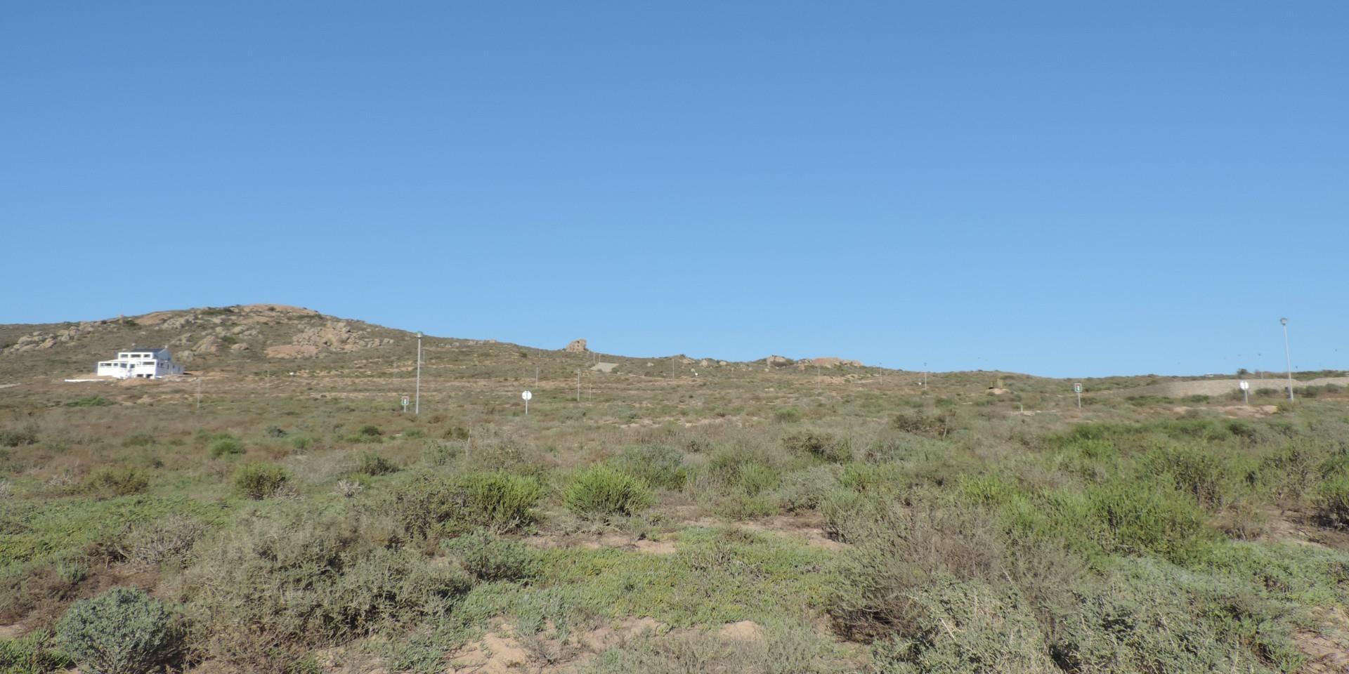 Image 4 of 6