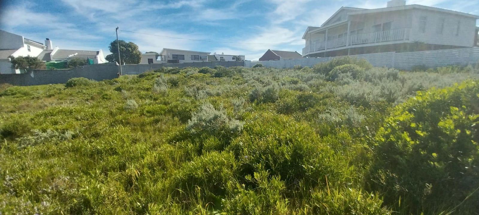 Image 10
