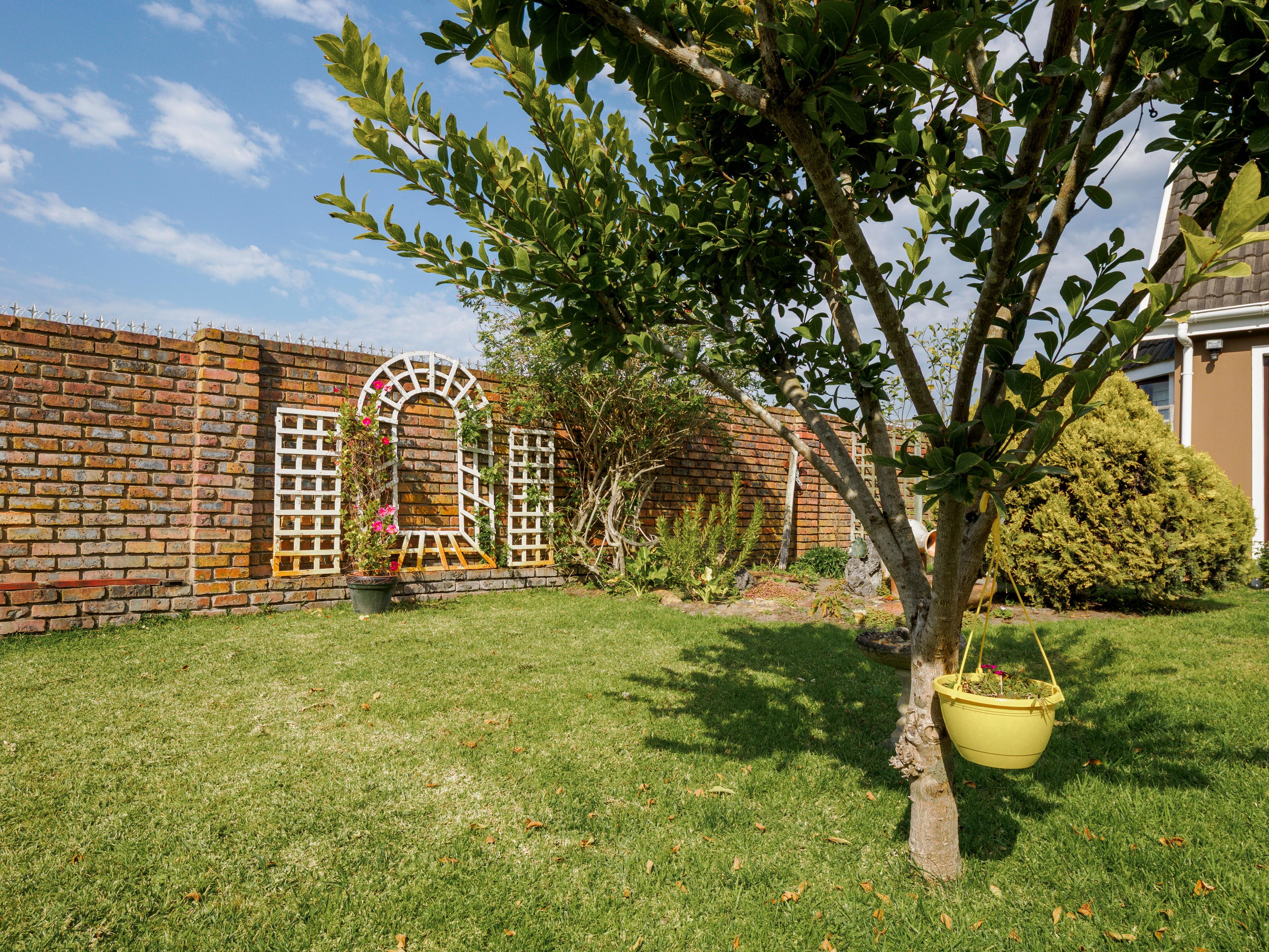 Image 21