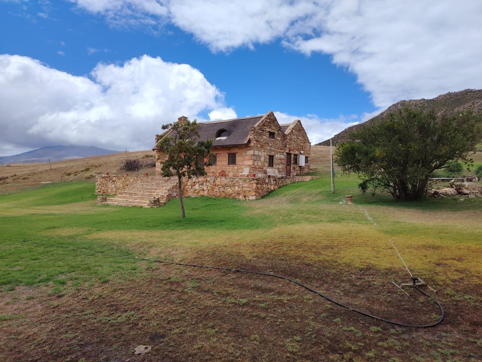 Image 4 of 6