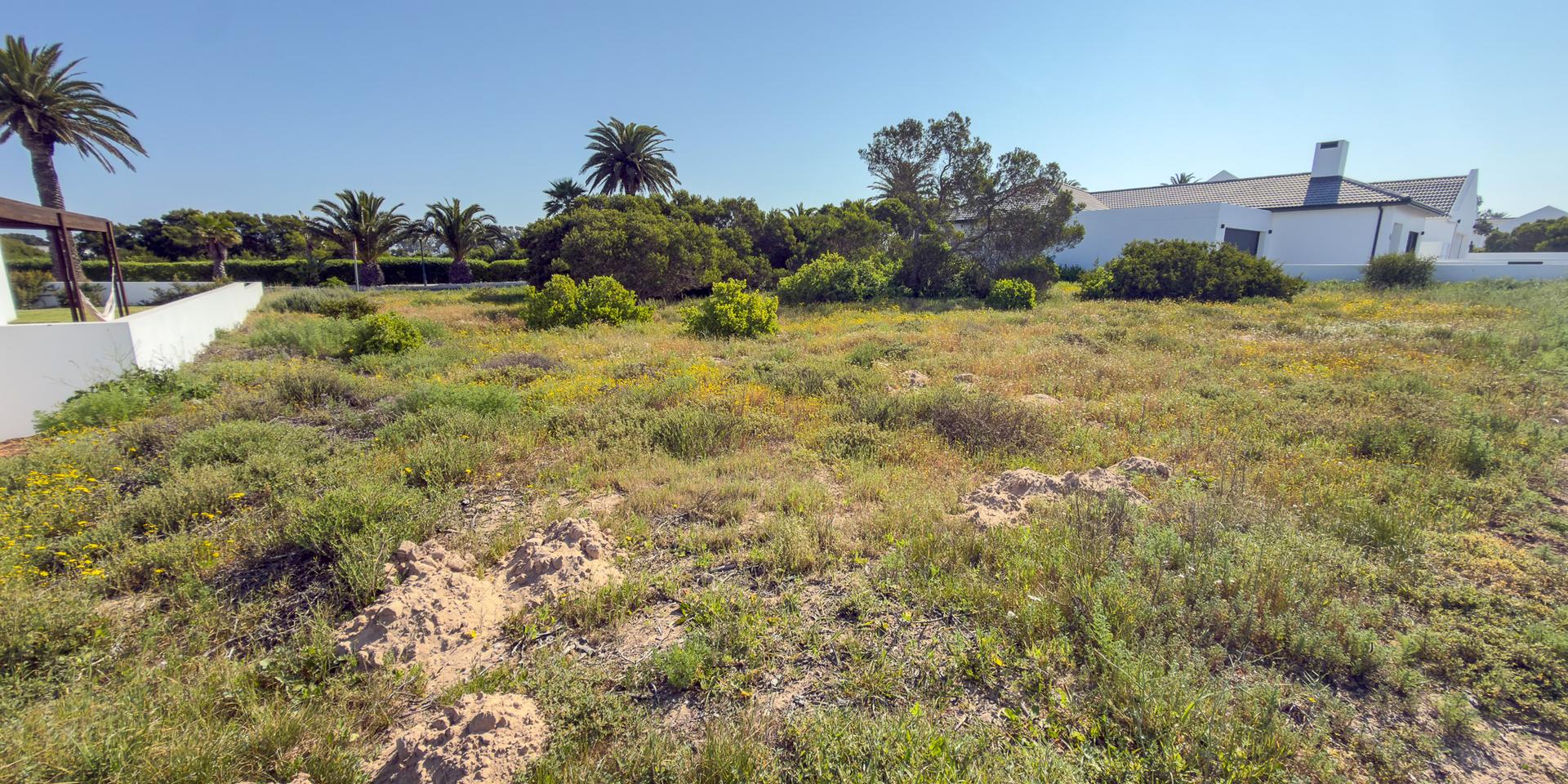 Image 4 of 6