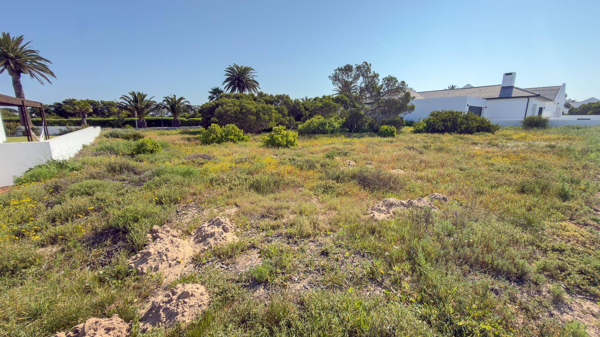Image 4 of 6