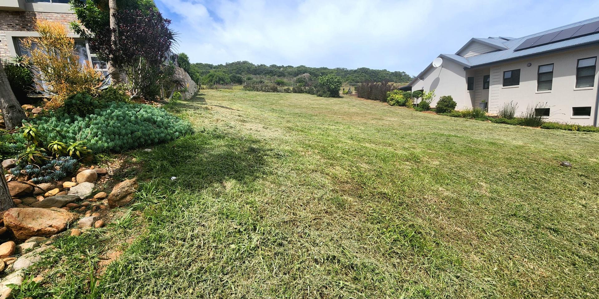 Image 3 of 6