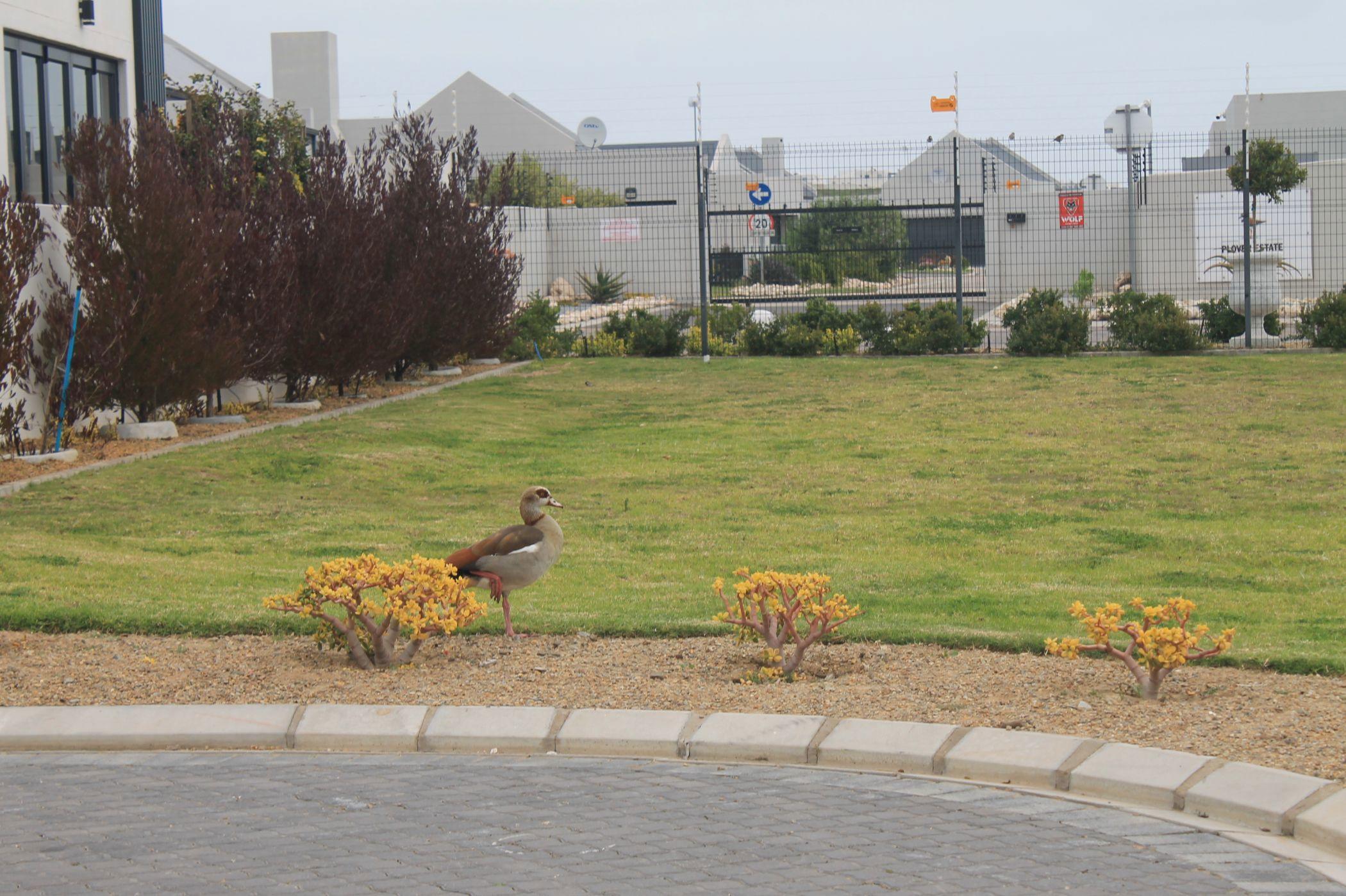 Image 13