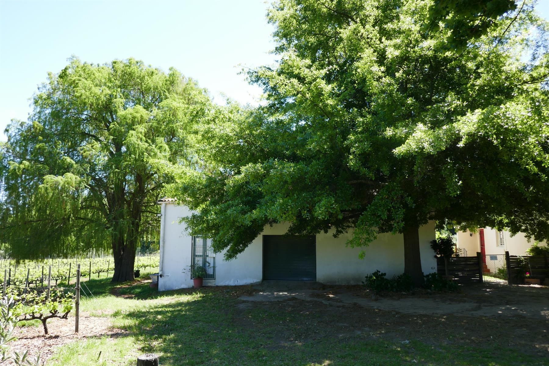 Image 52