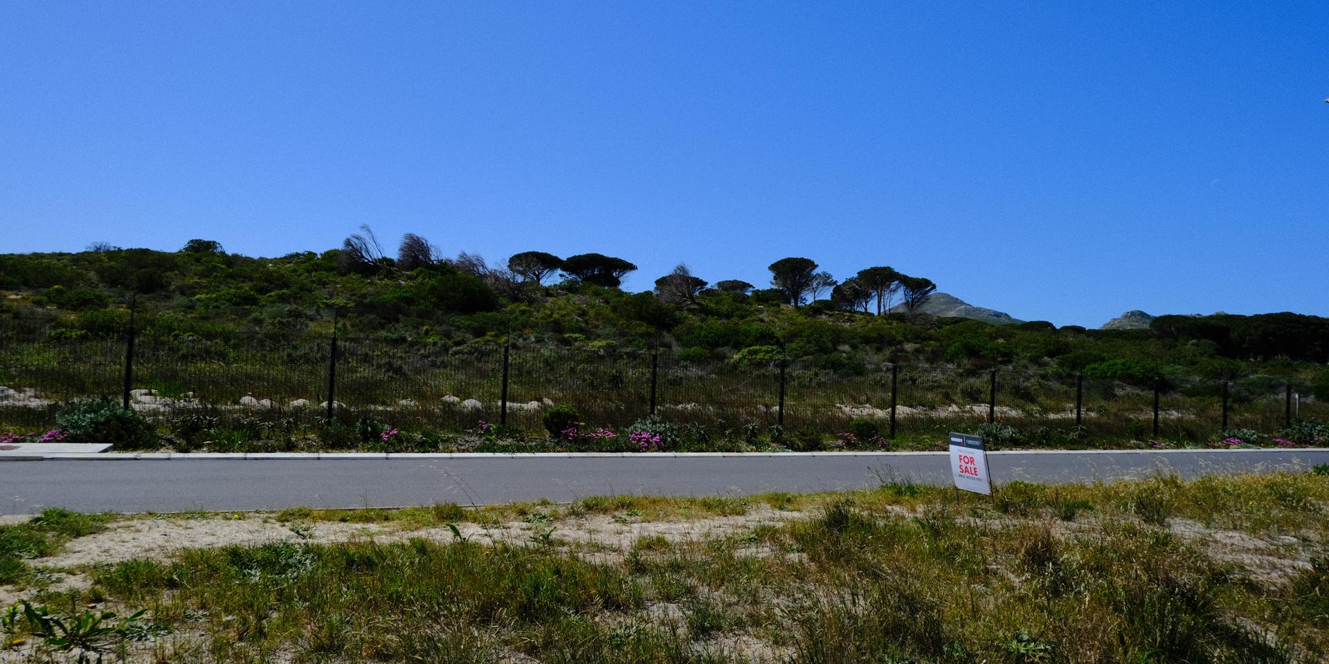Image 5 of 6