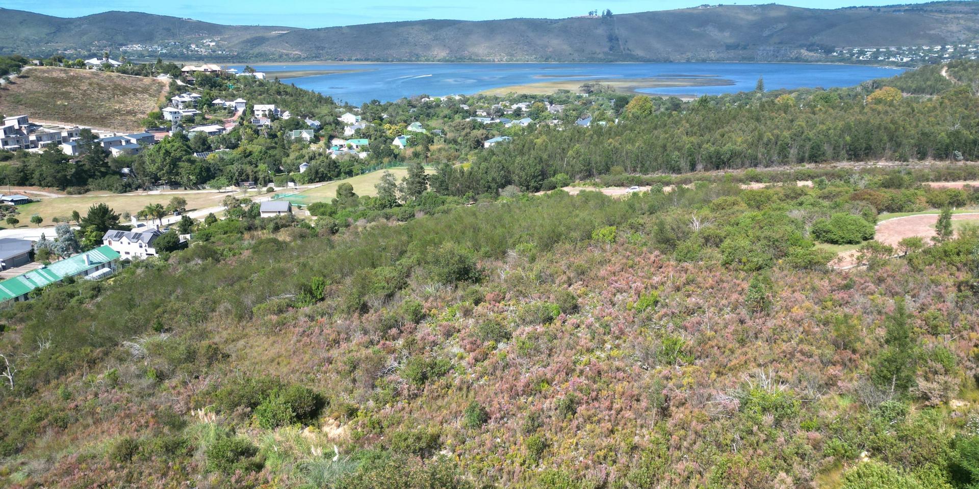 Image 2 of 6
