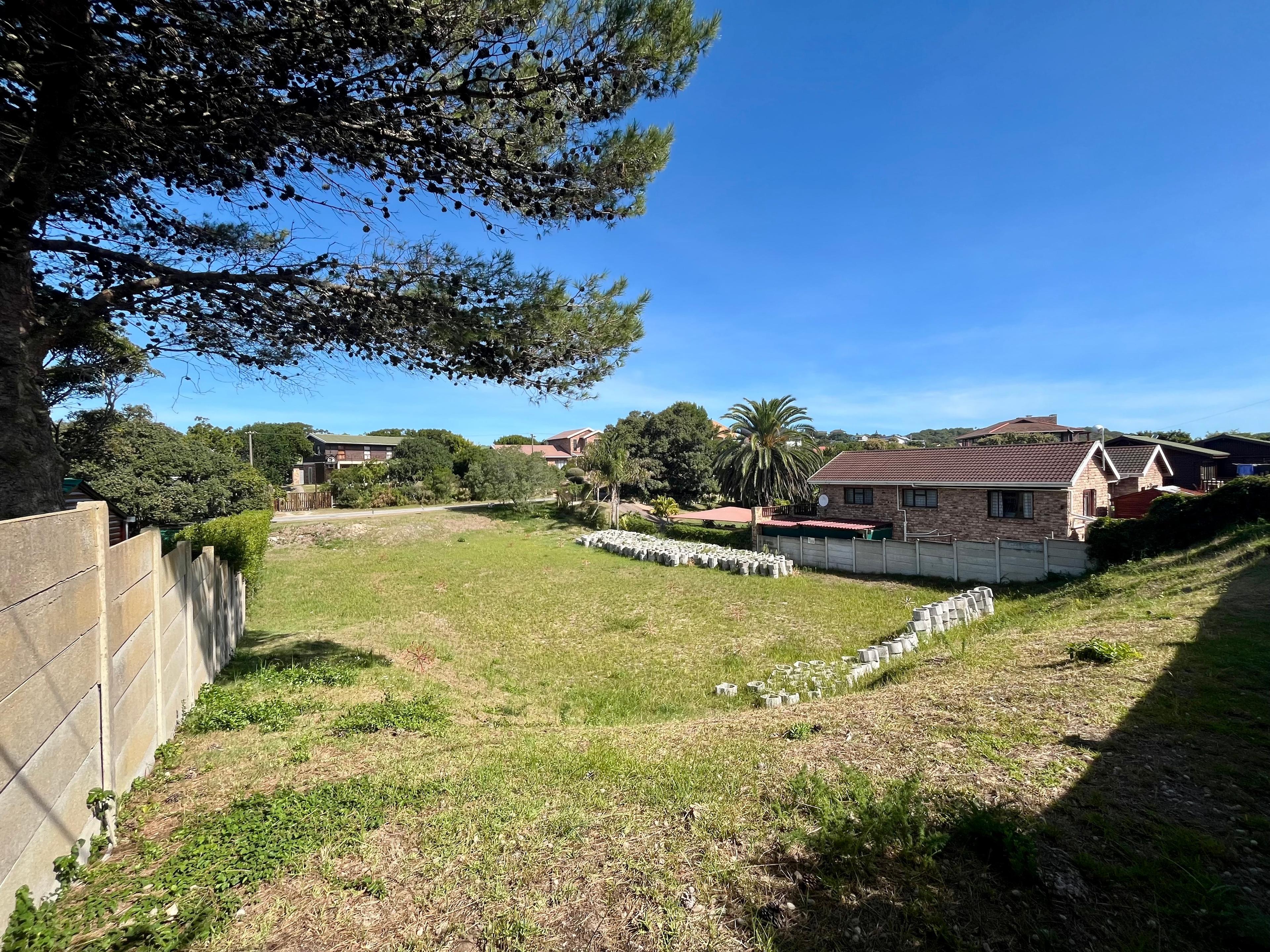 Image 4 of 6