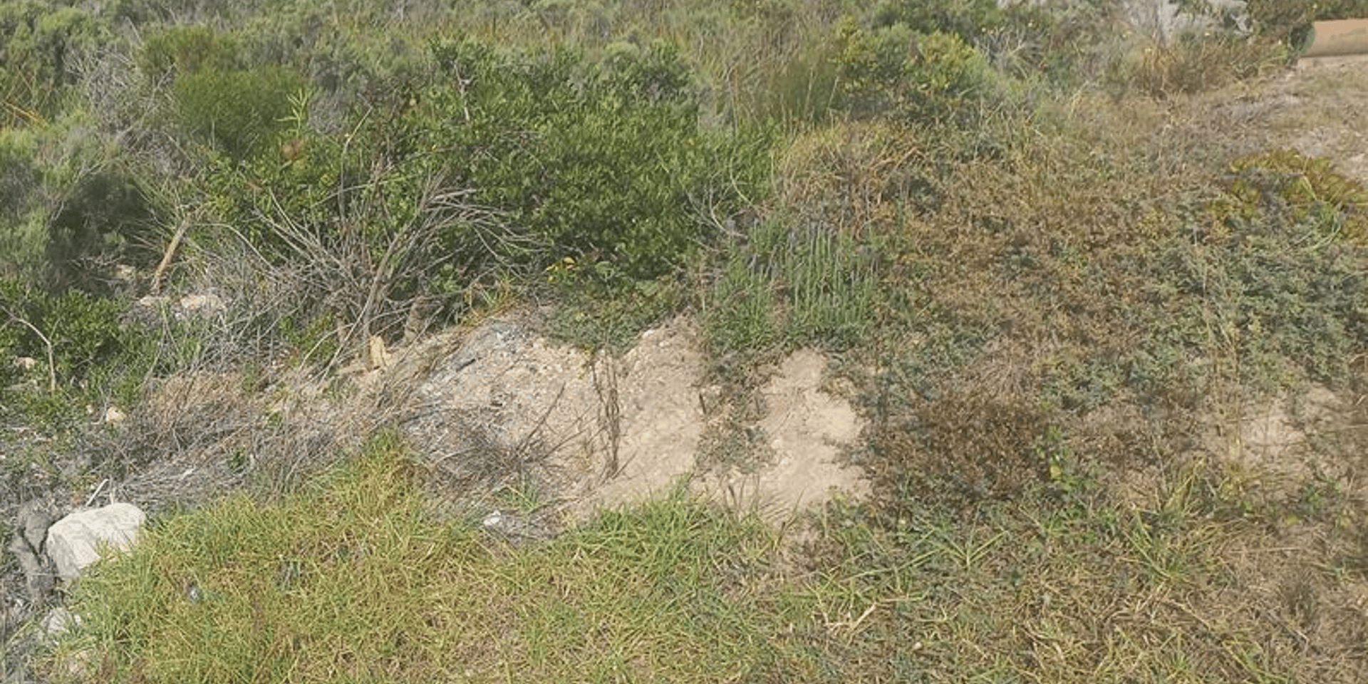Image 4 of 6