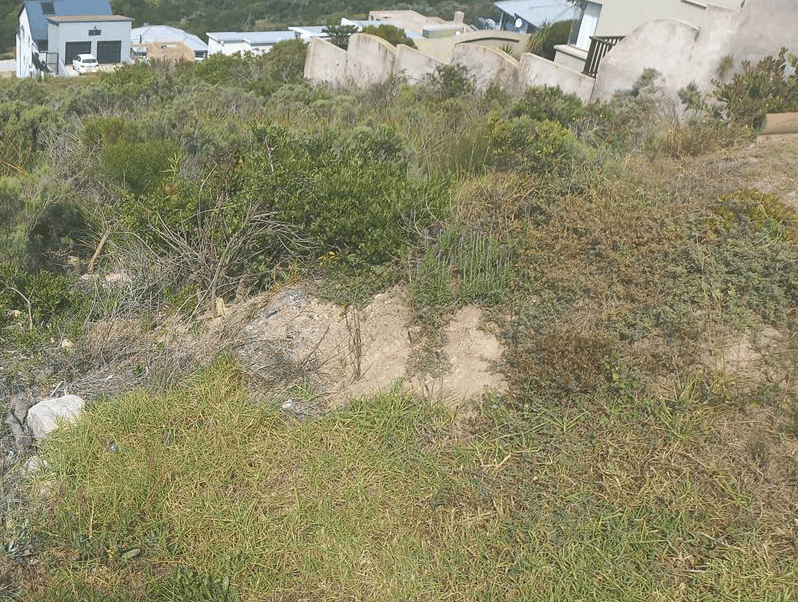 Image 4 of 6
