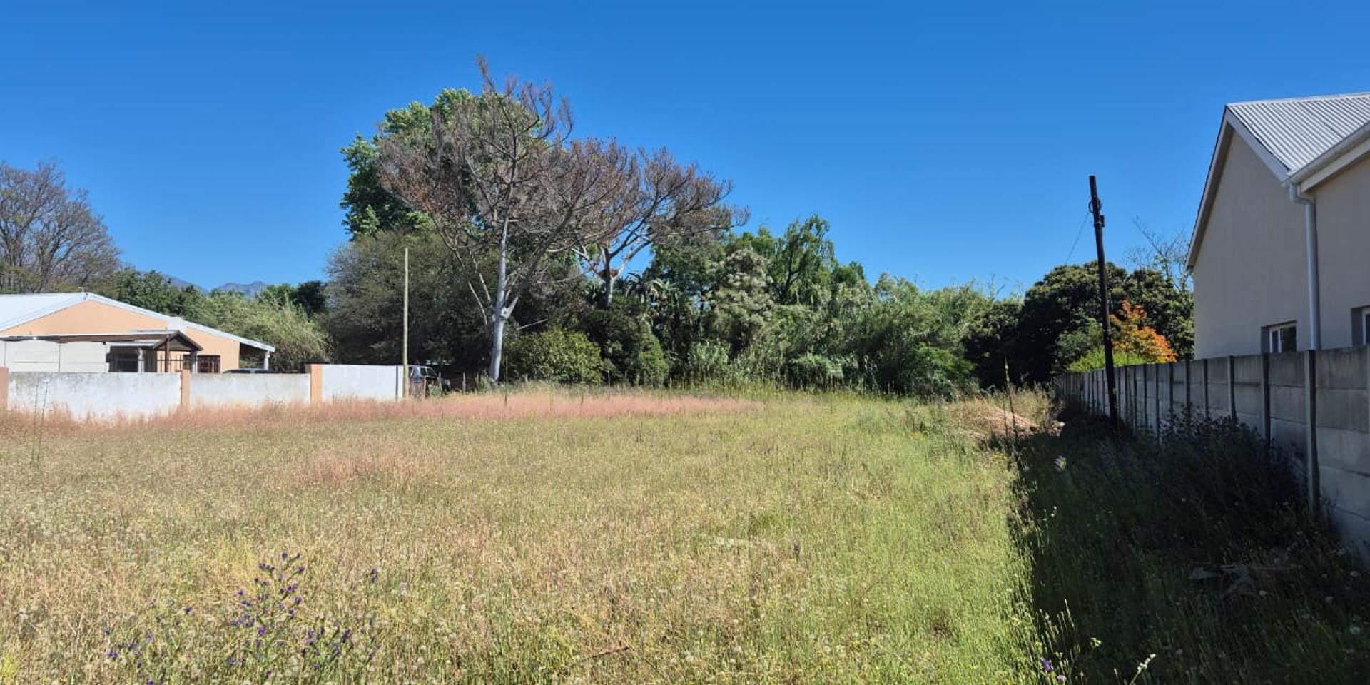 Image 4 of 6