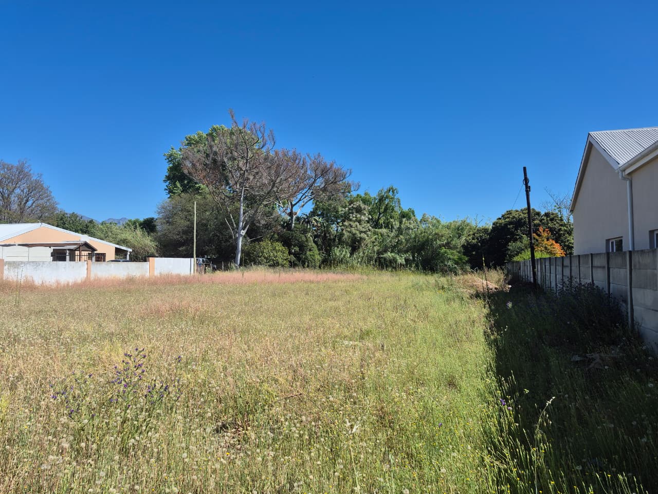 Image 4 of 6