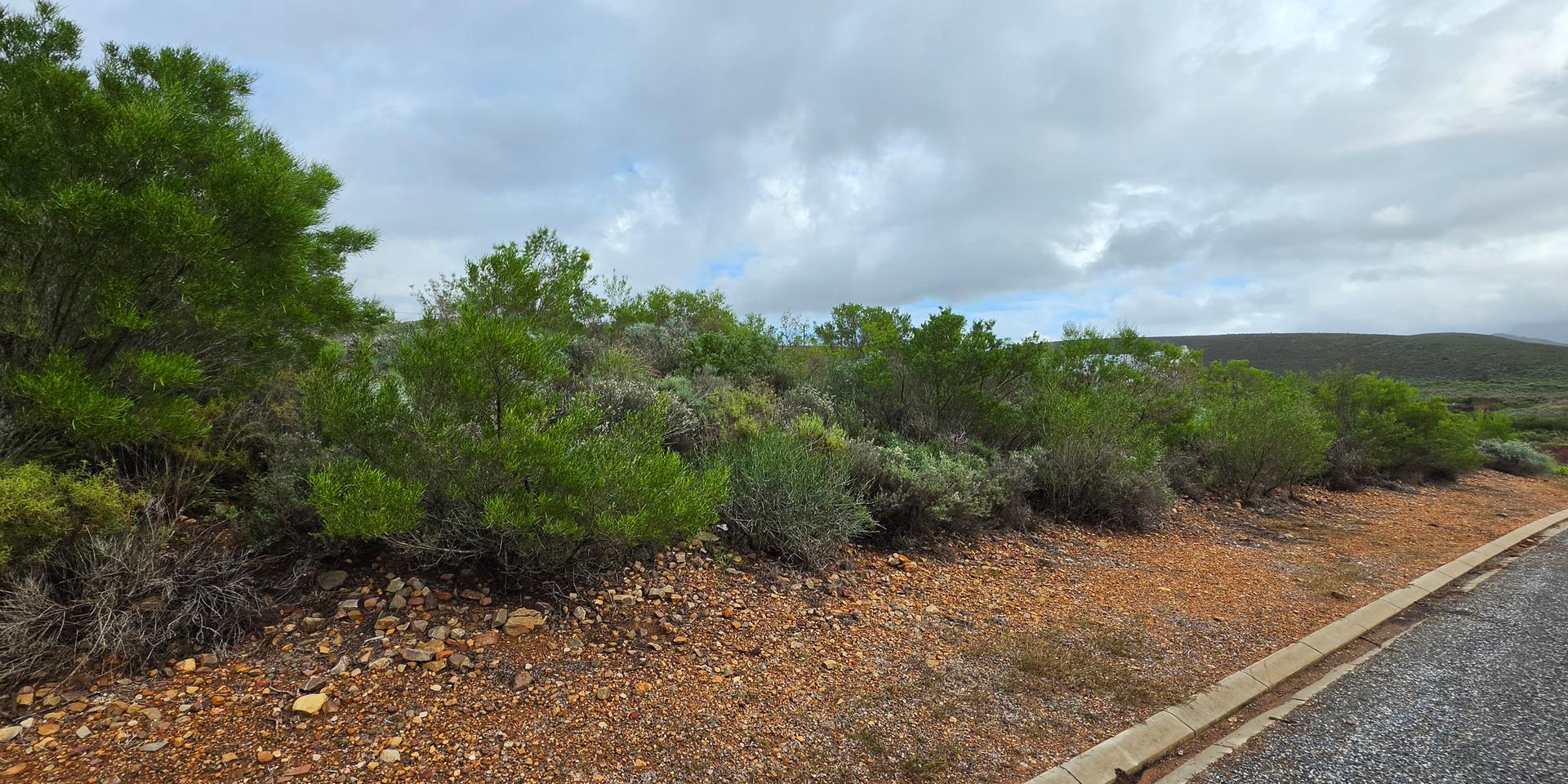 Image 3 of 6