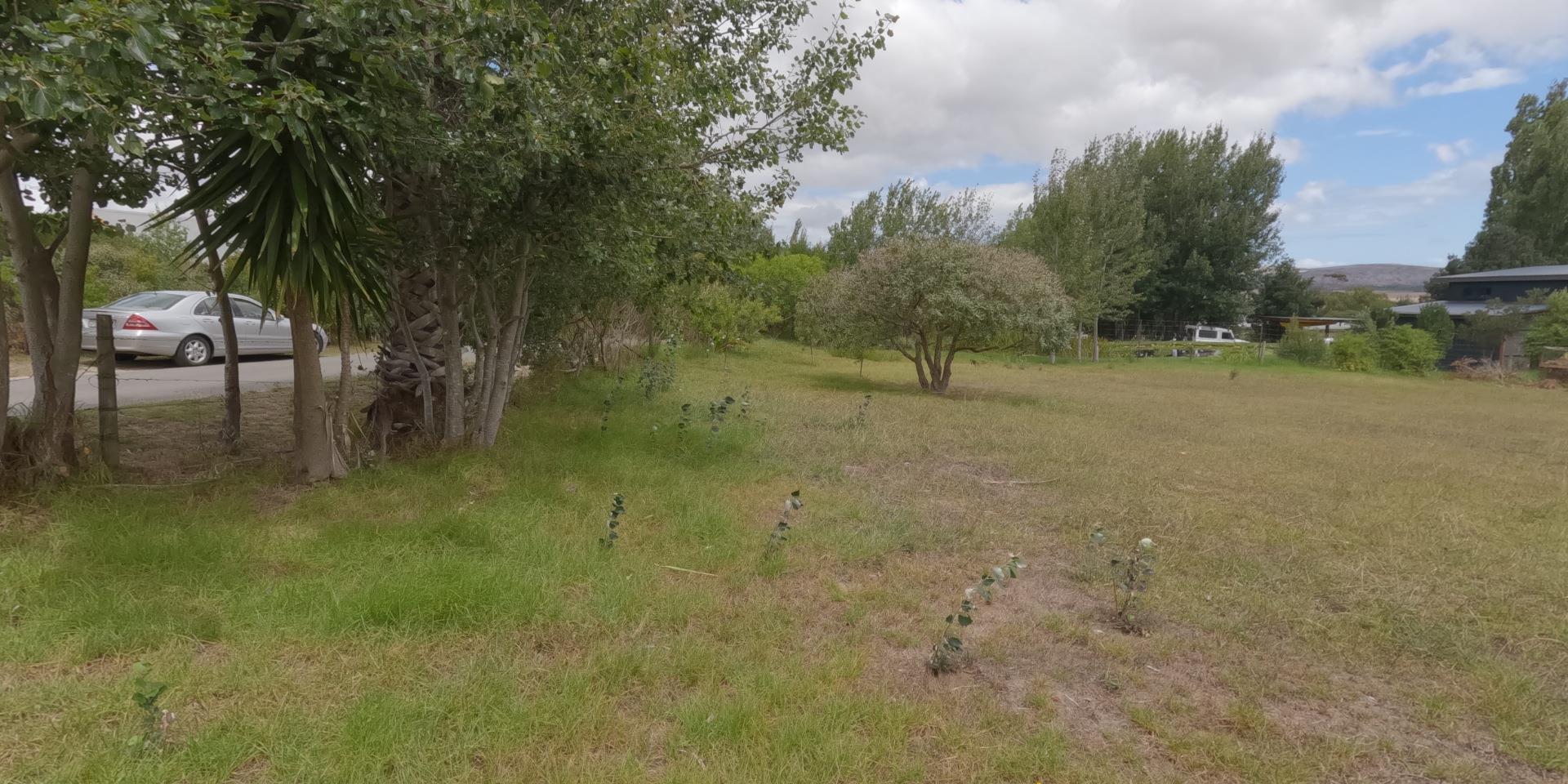 Image 4 of 6