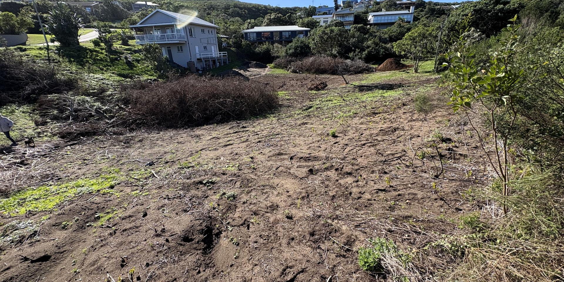 Image 5 of 6