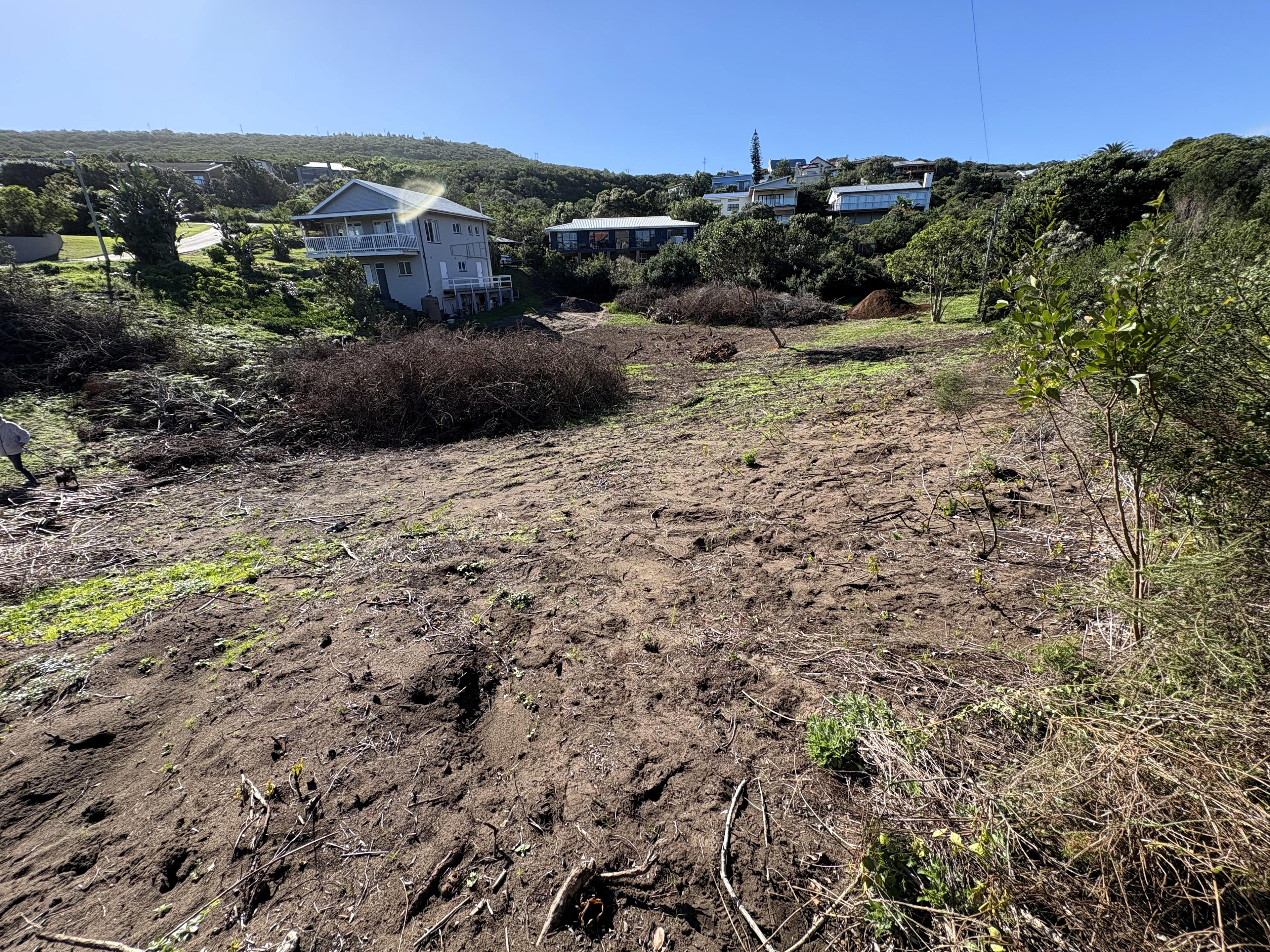 Image 5 of 6