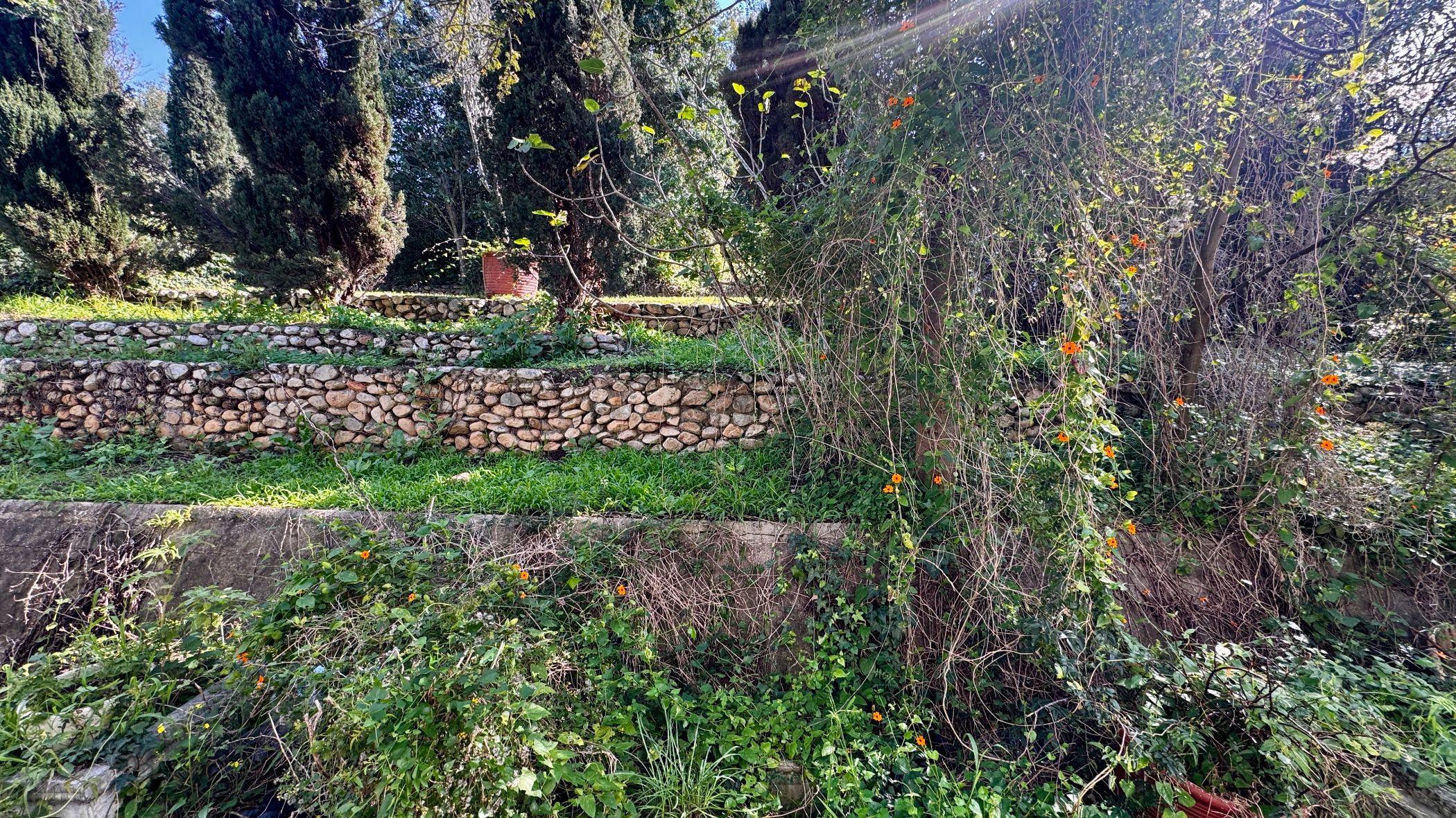 Image 34