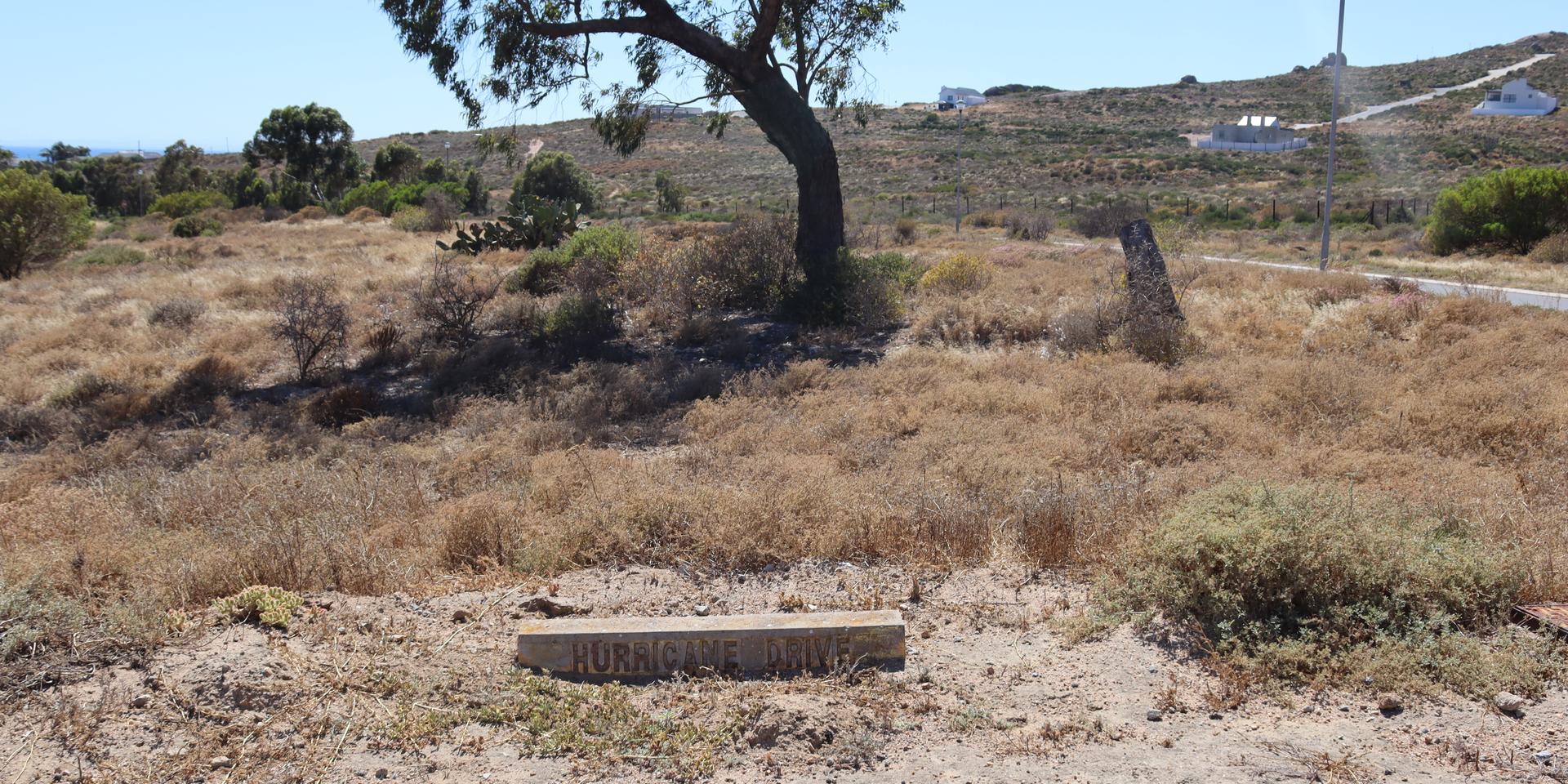 Image 2 of 6