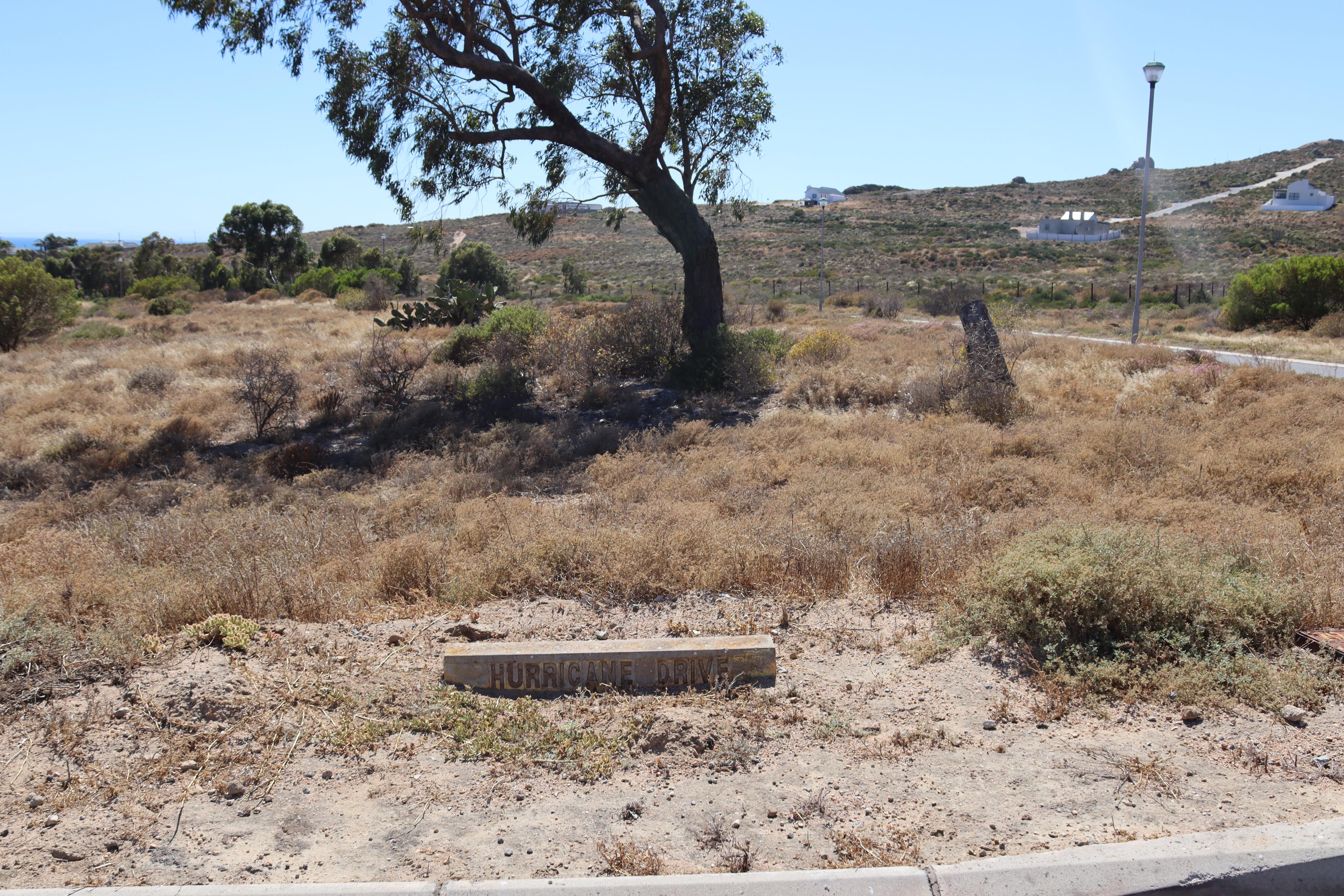 Image 2 of 6