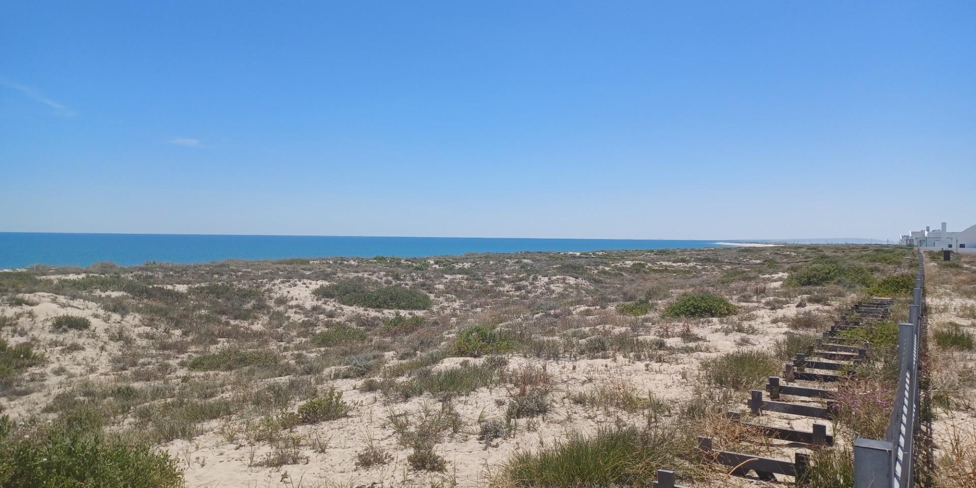 Image 4 of 6