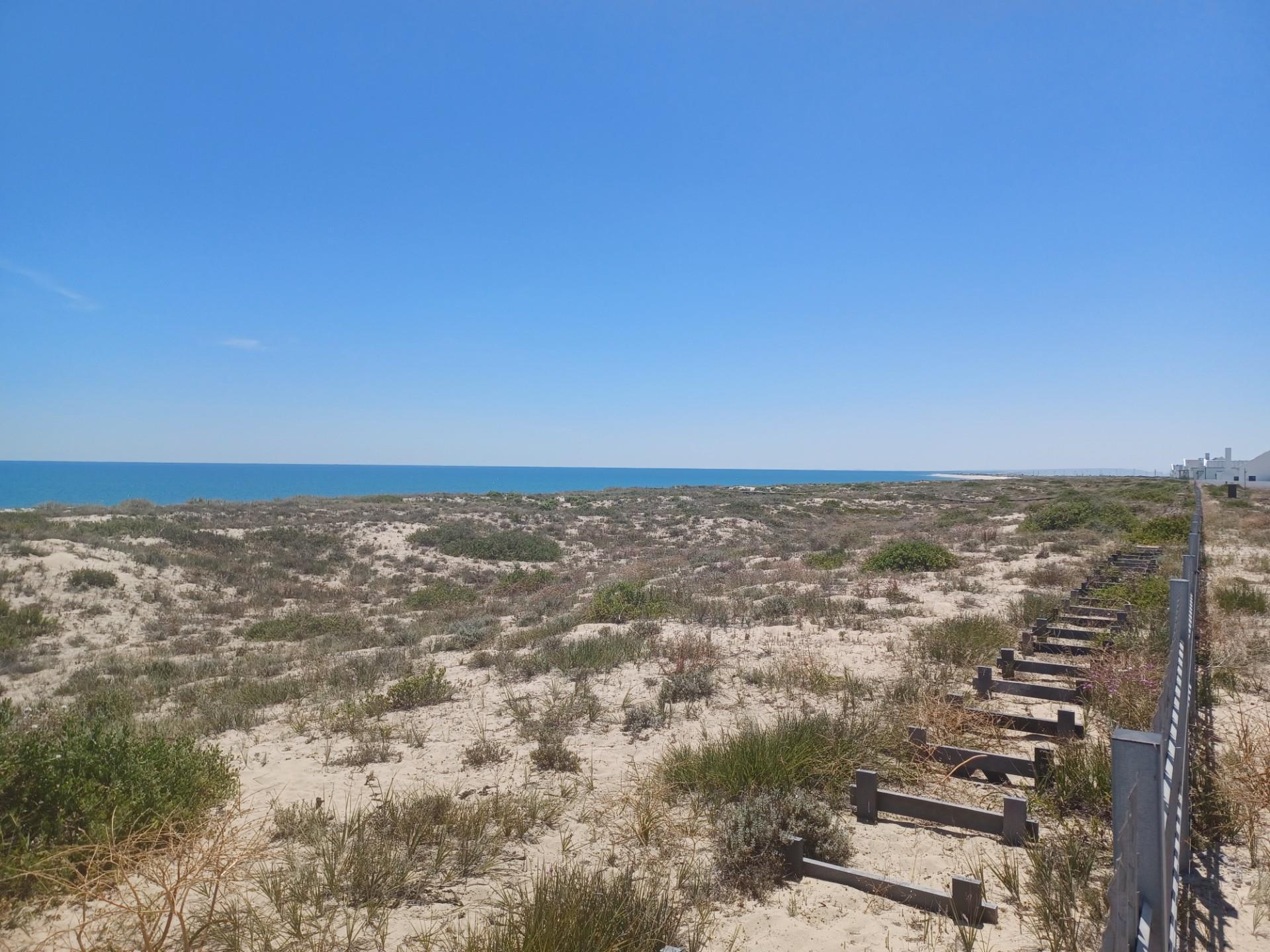 Image 4 of 6