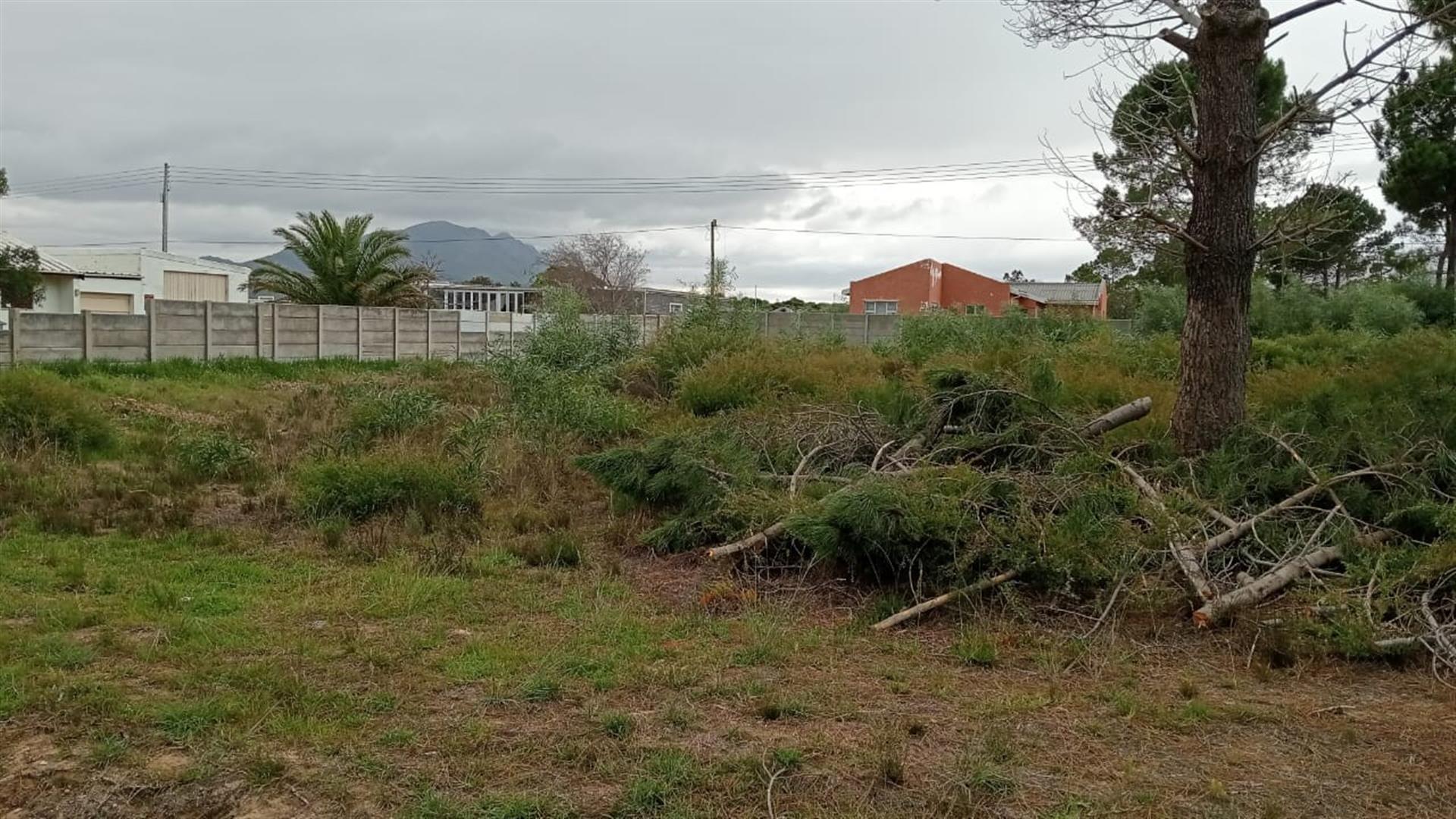 Image 2 of 6
