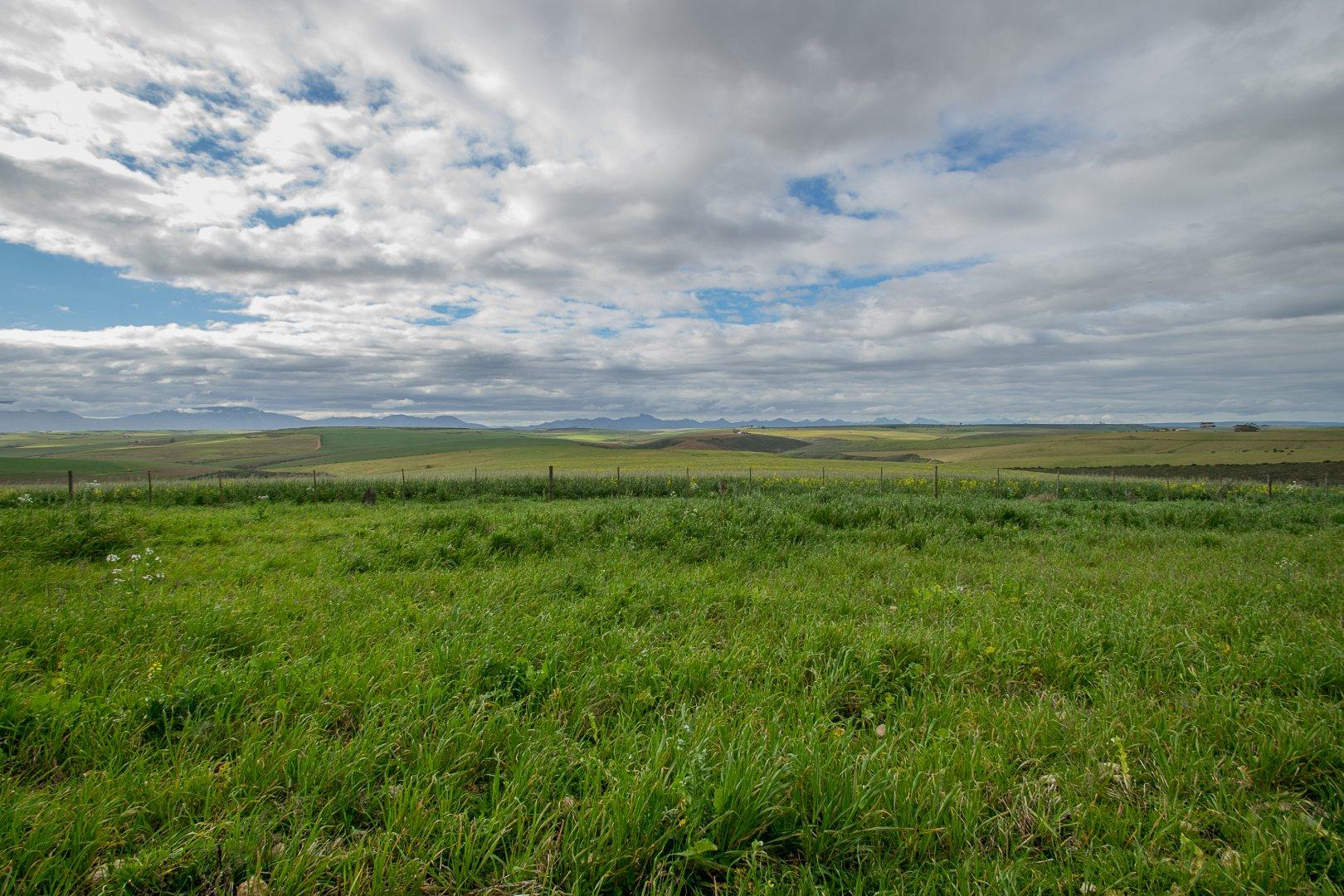 Image 14