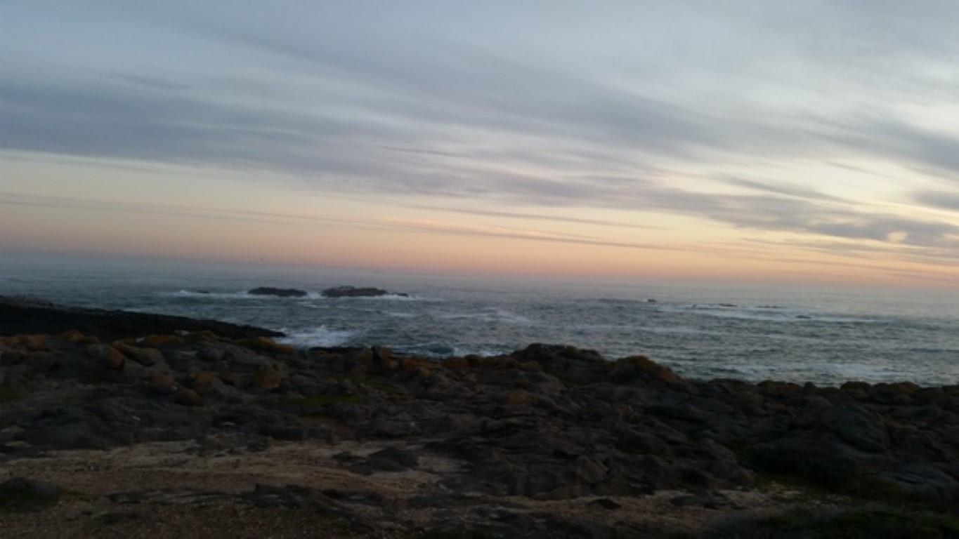 Image 24