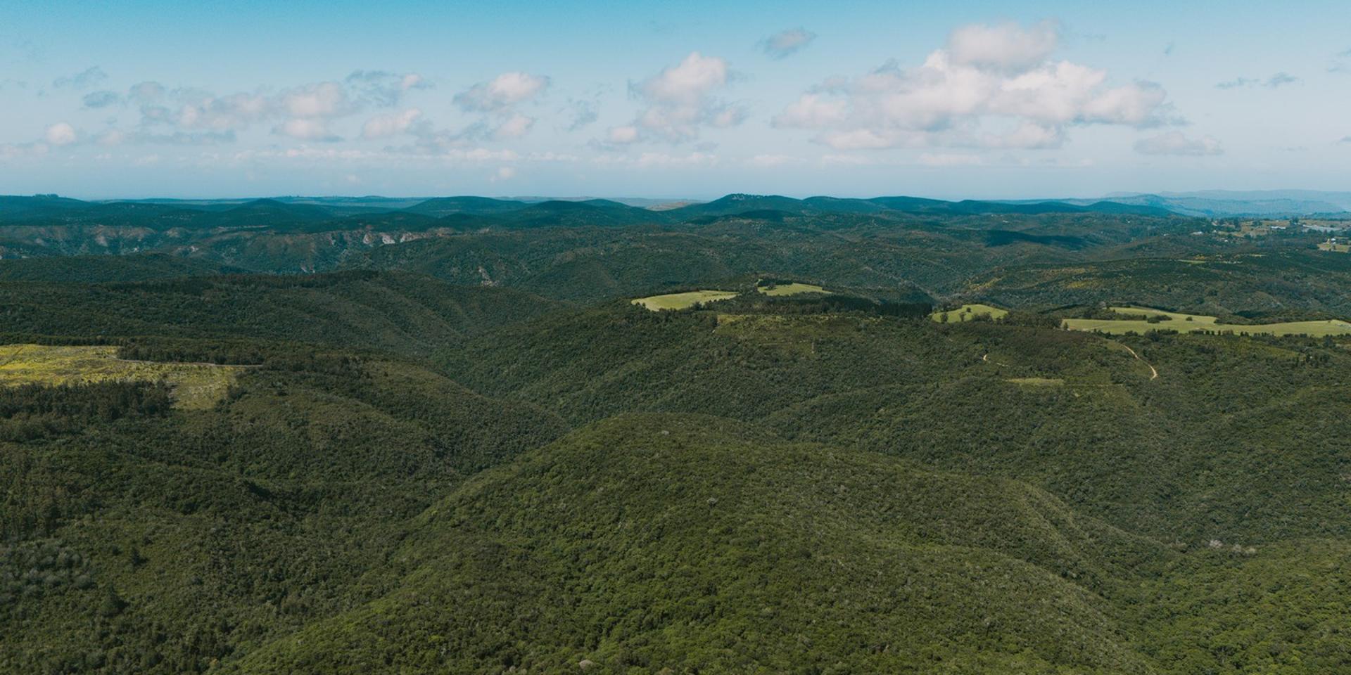Image 5 of 6