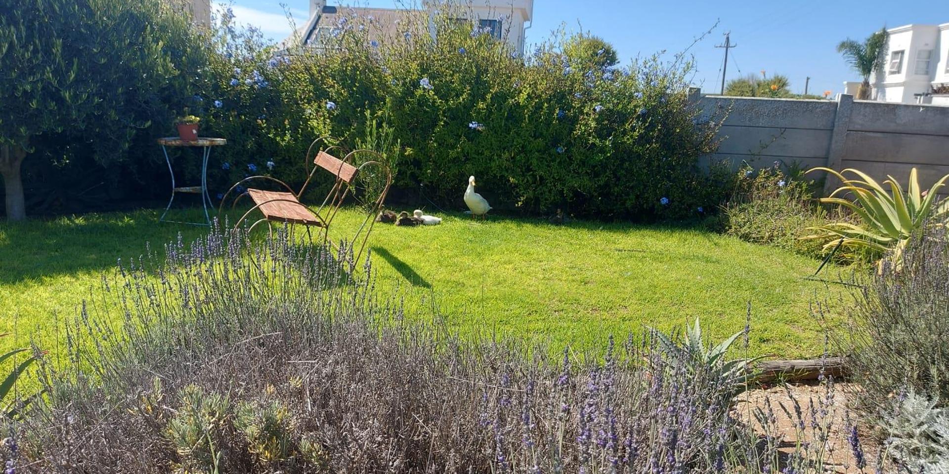 Image 4 of 6