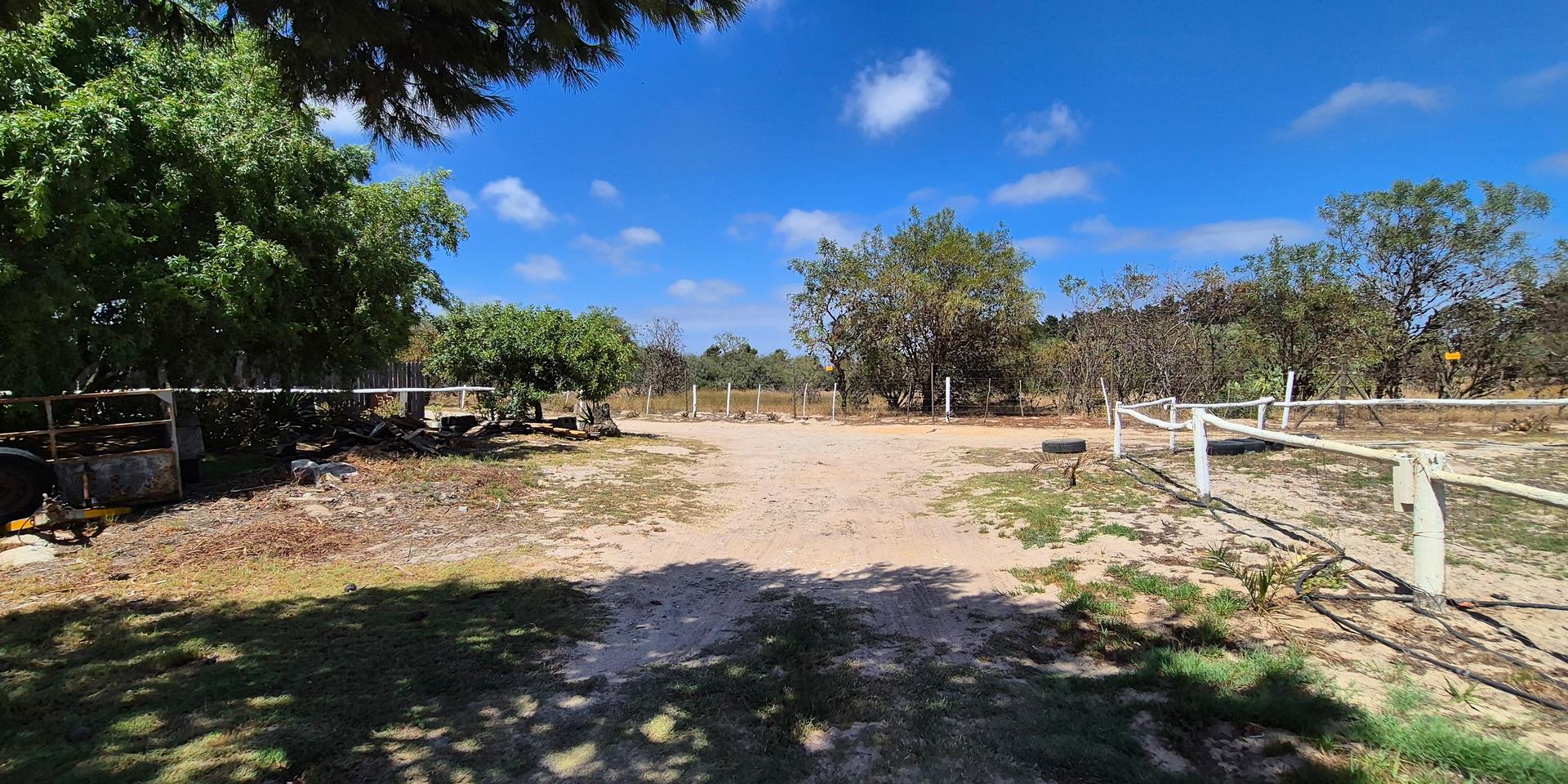 Image 4 of 6
