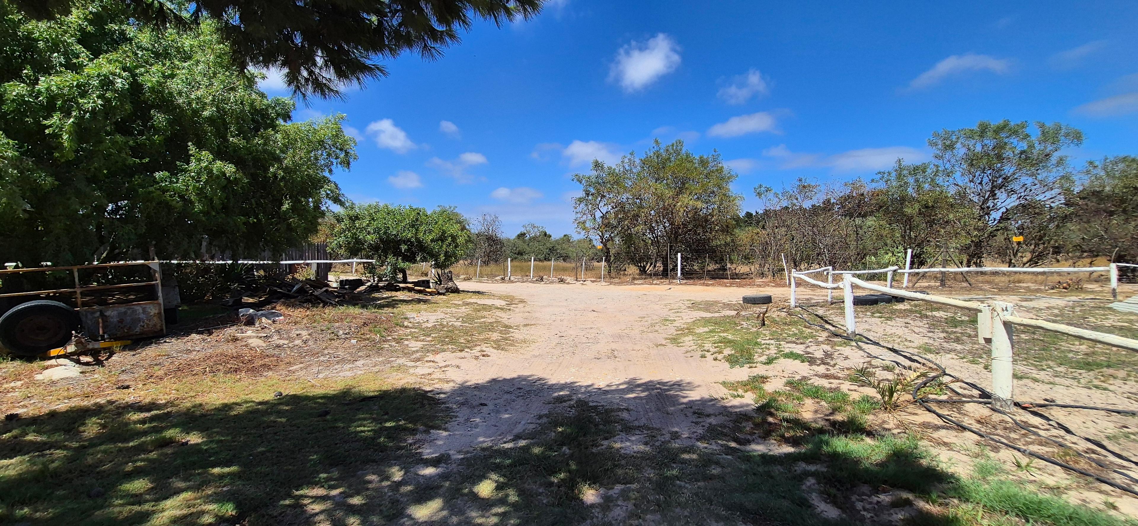 Image 4 of 6