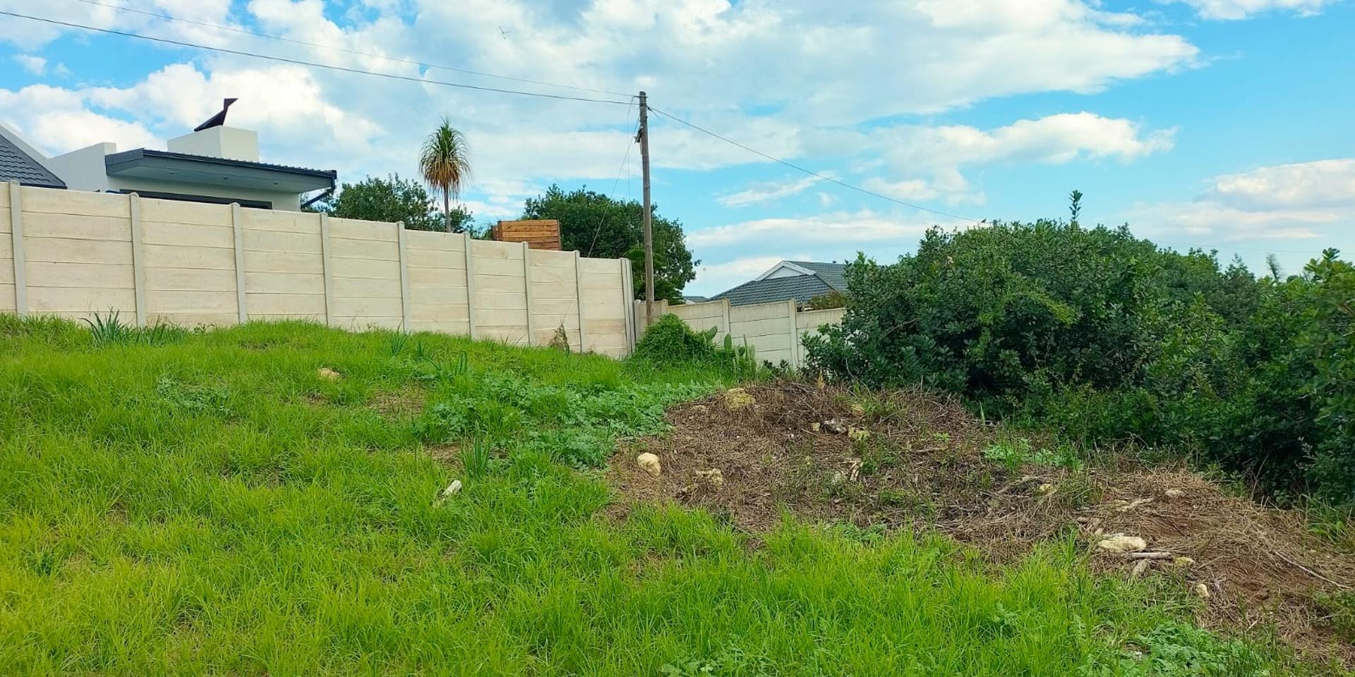 Image 4 of 6