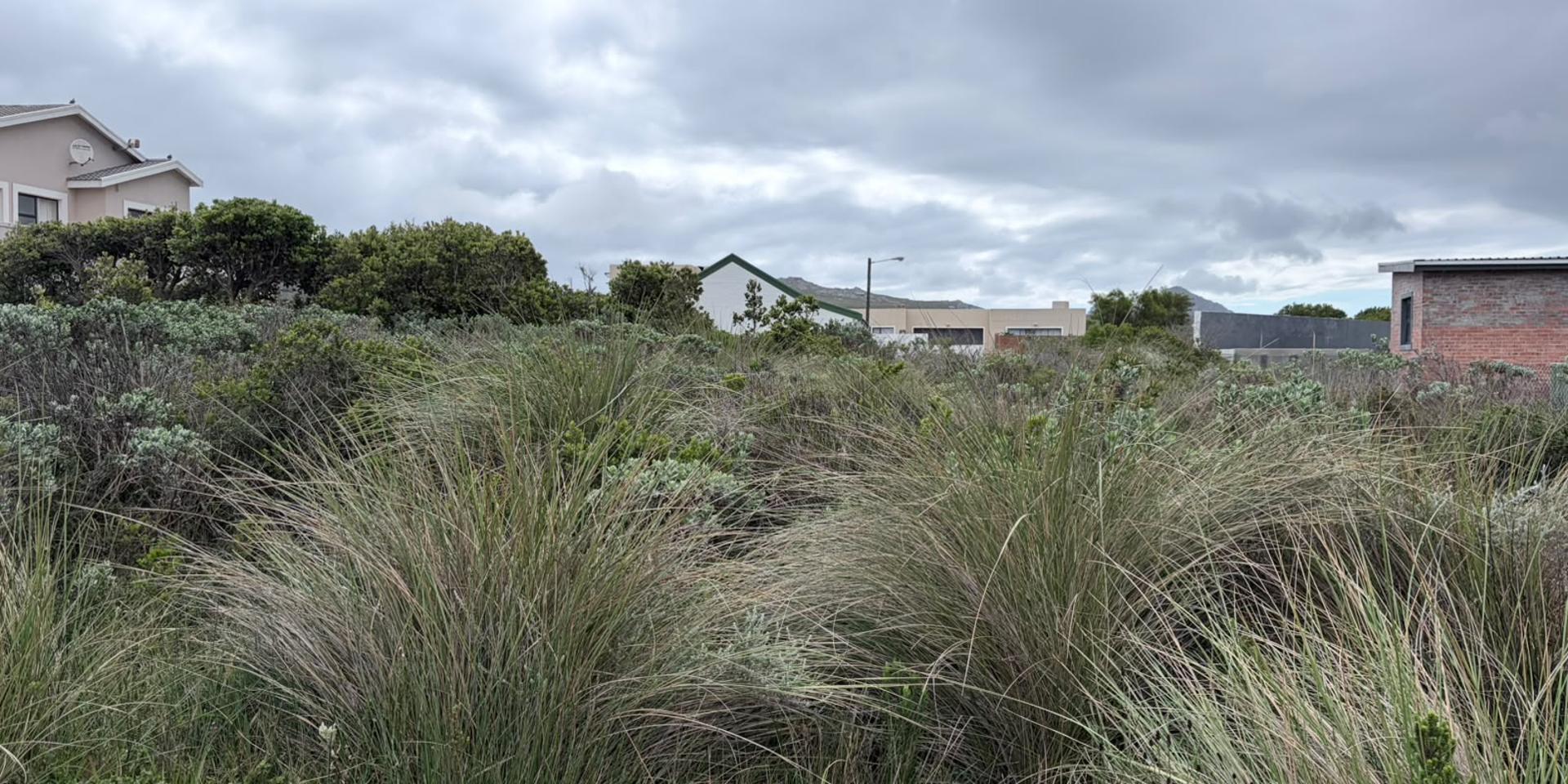 Image 3 of 6