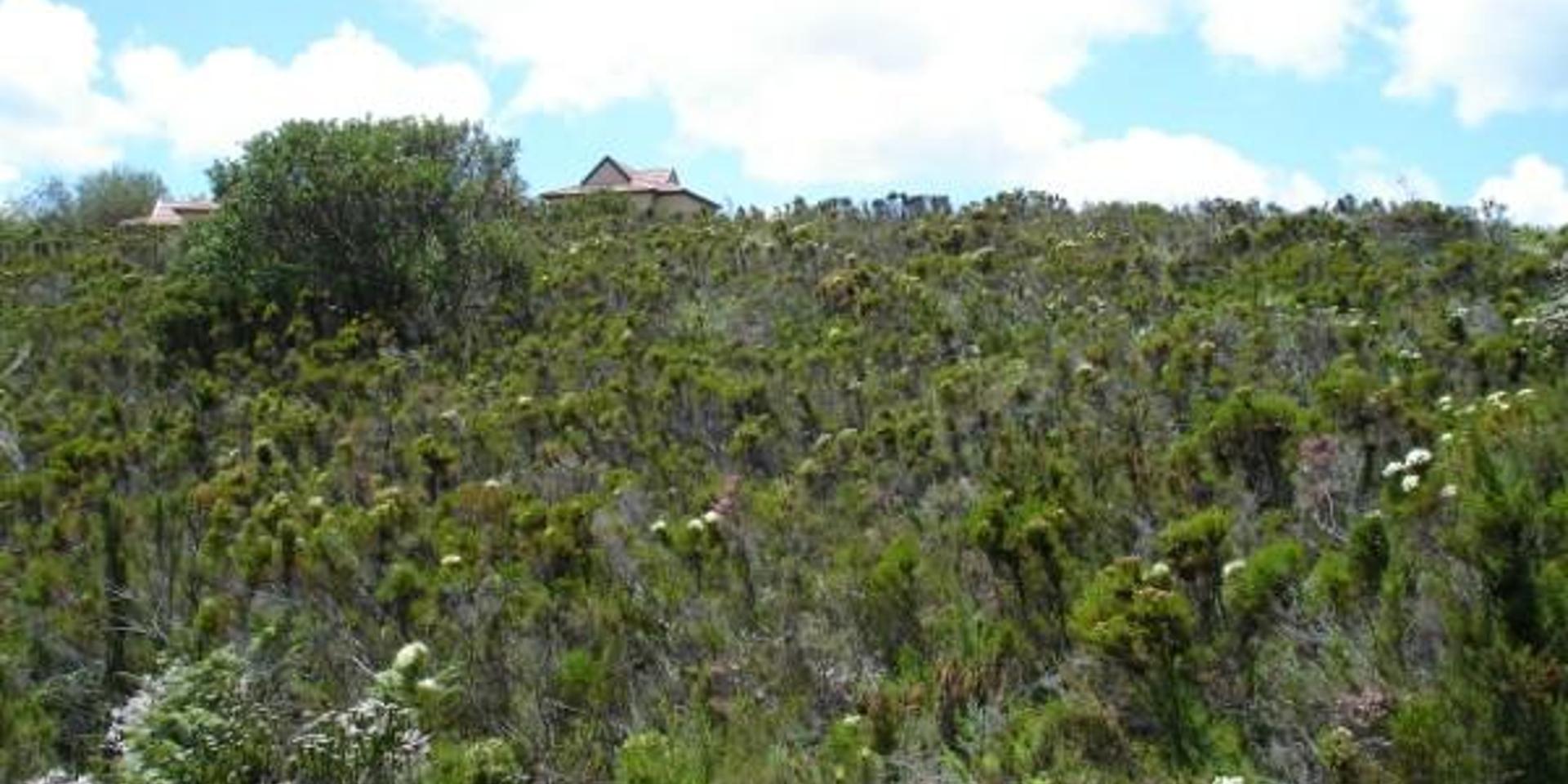 Image 2 of 6