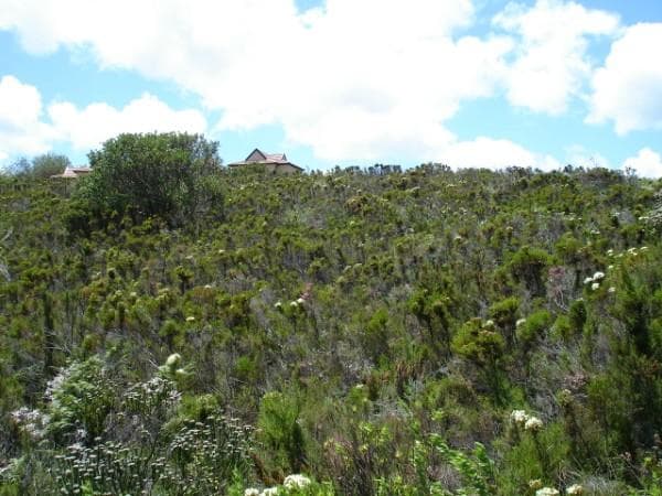 Image 2 of 6