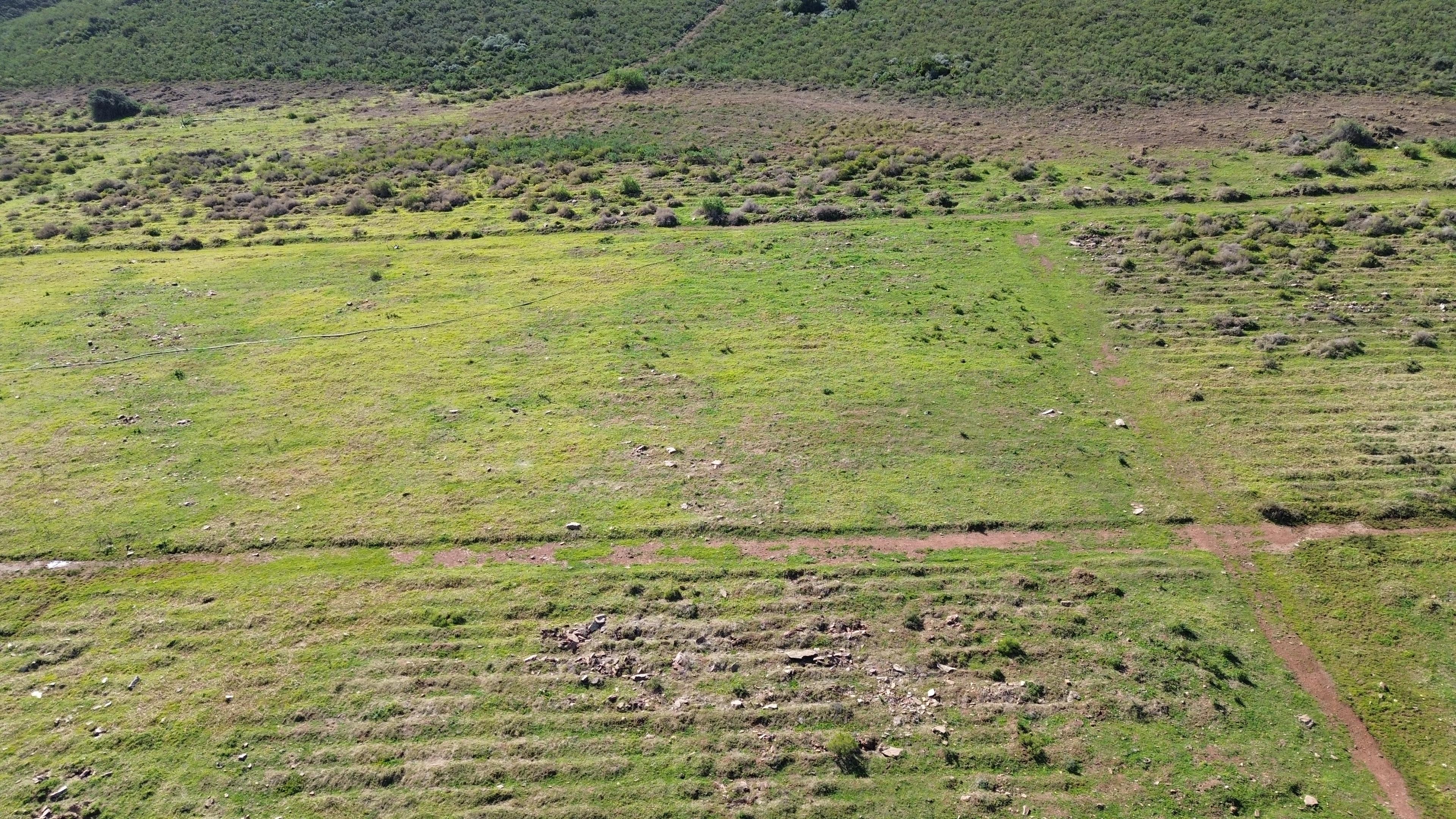 Image 20