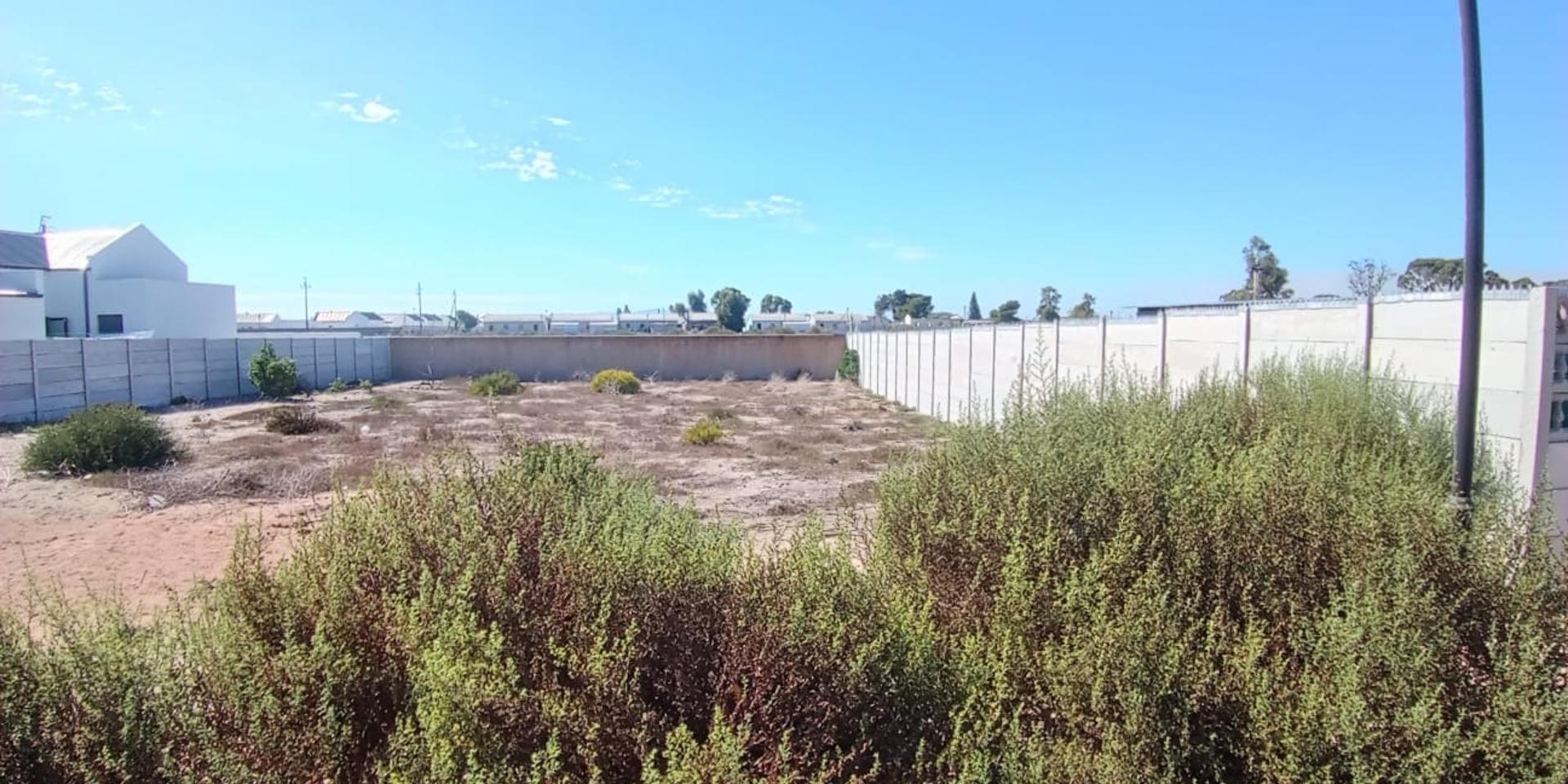 Image 4 of 6