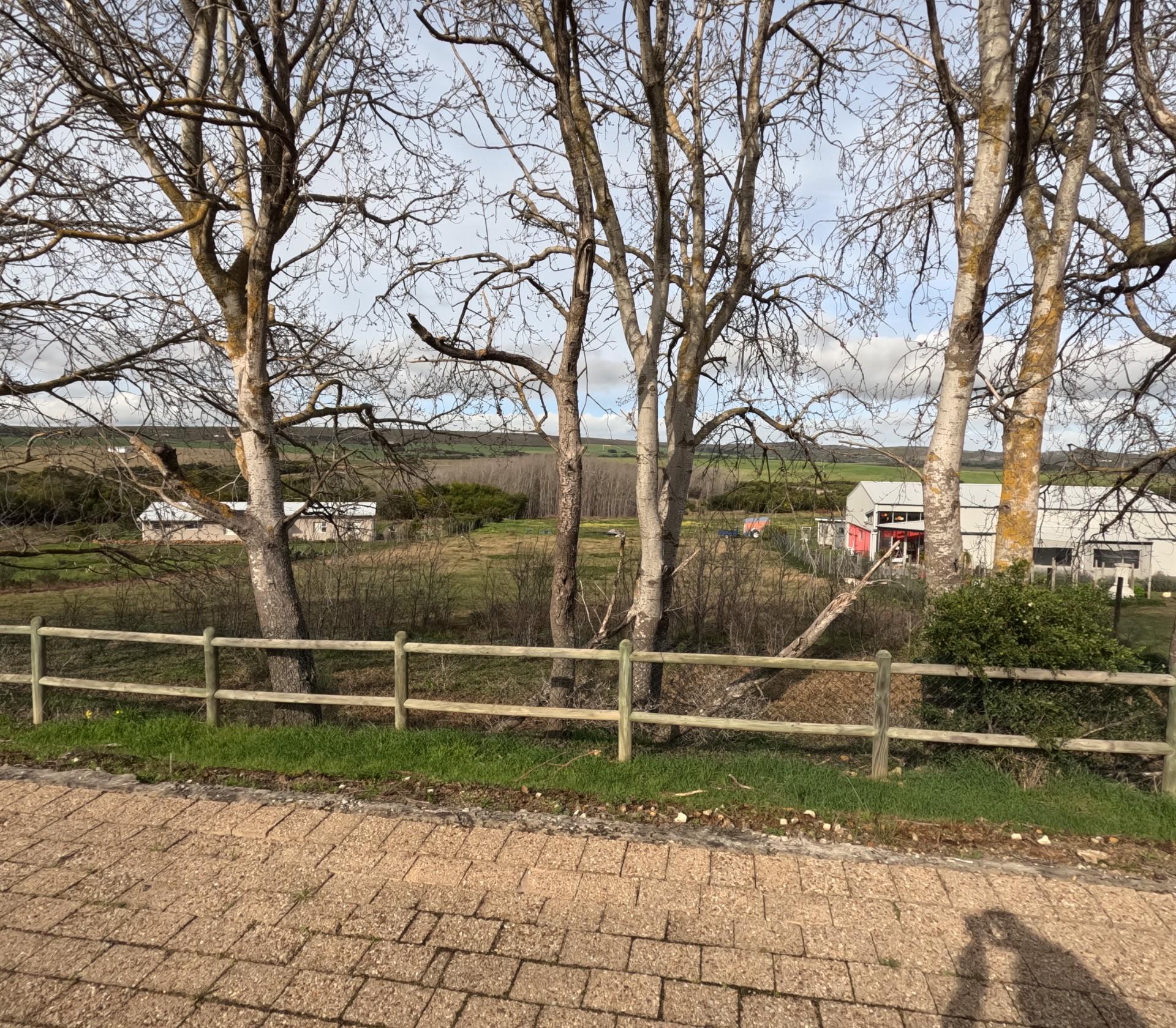 Image 10